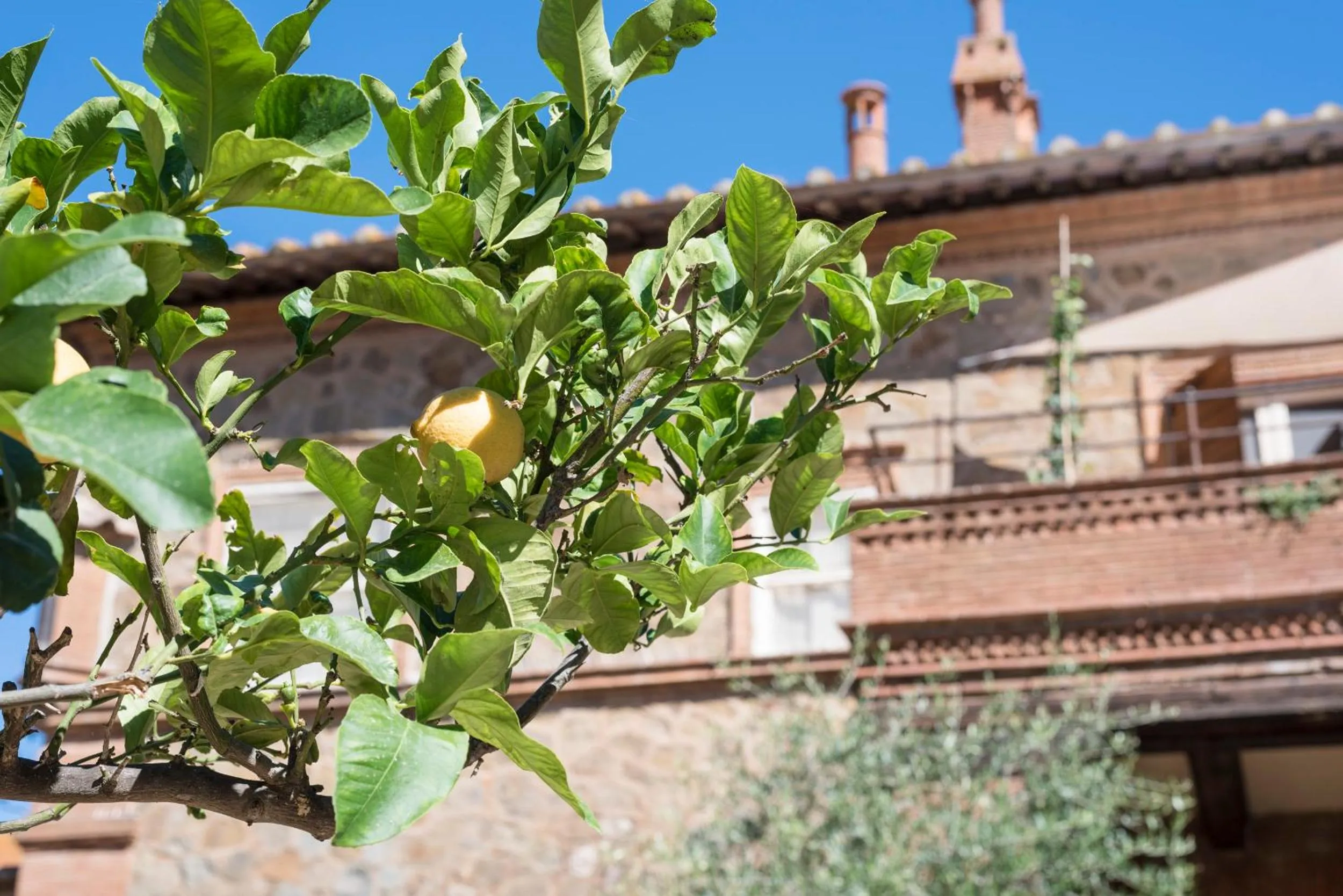 Property building in Fattoria Pian Di Rocca