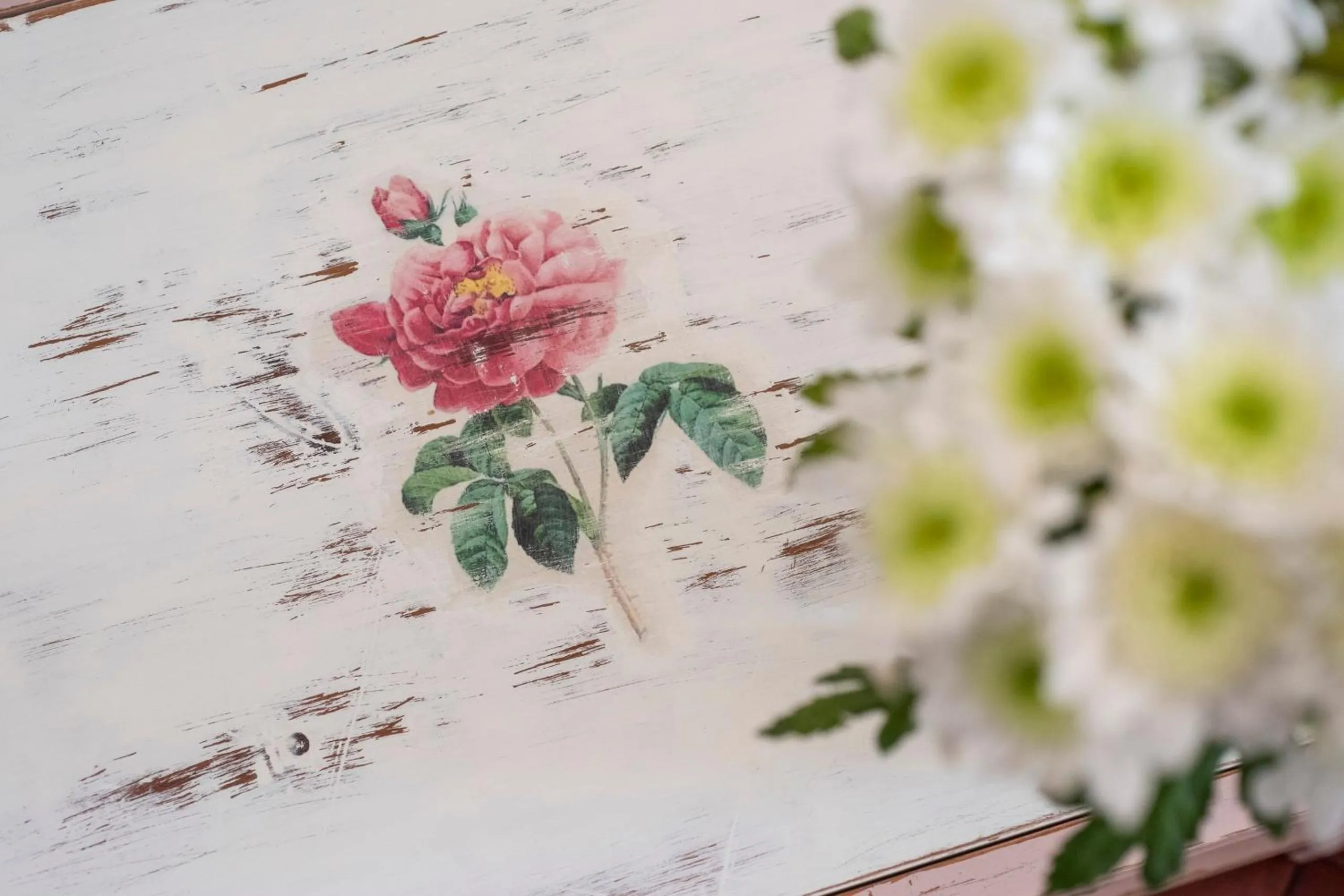 Decorative detail in Fattoria Pian Di Rocca