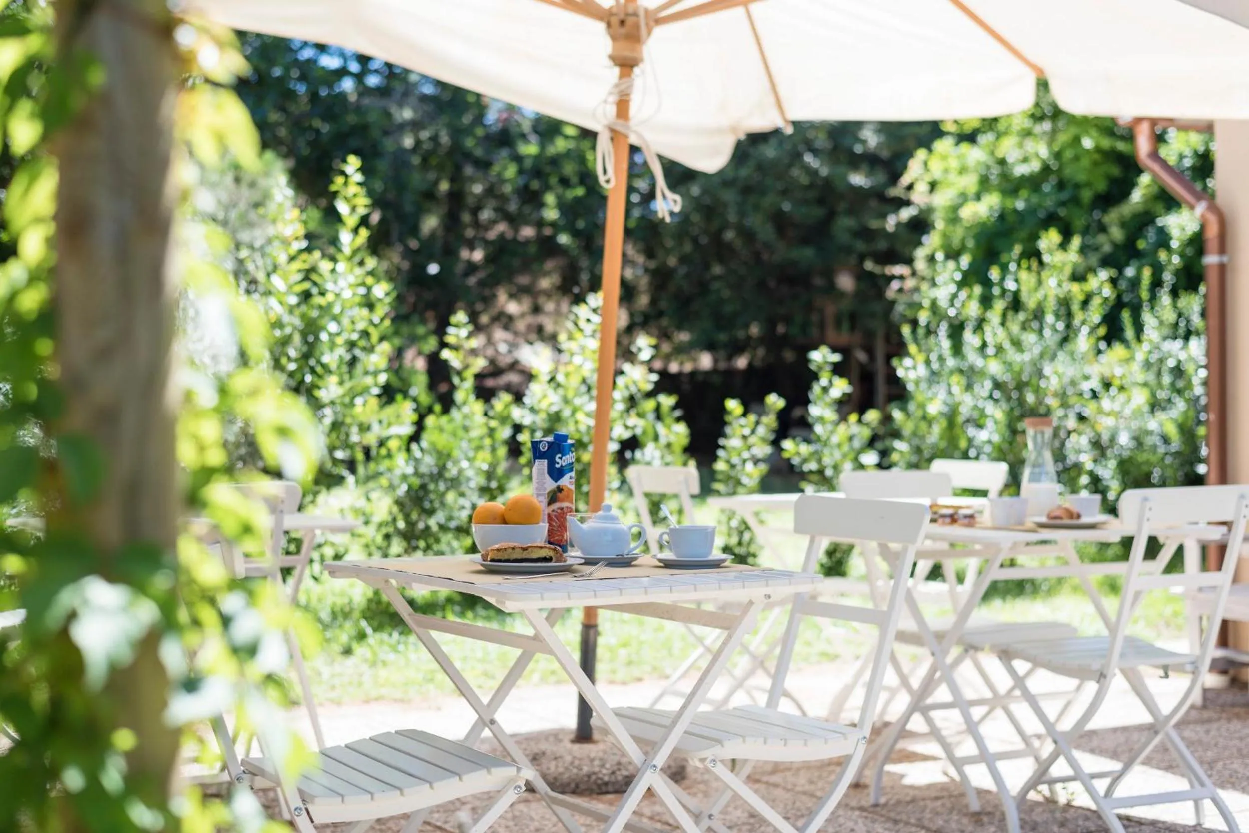 Garden view in Fattoria Pian Di Rocca