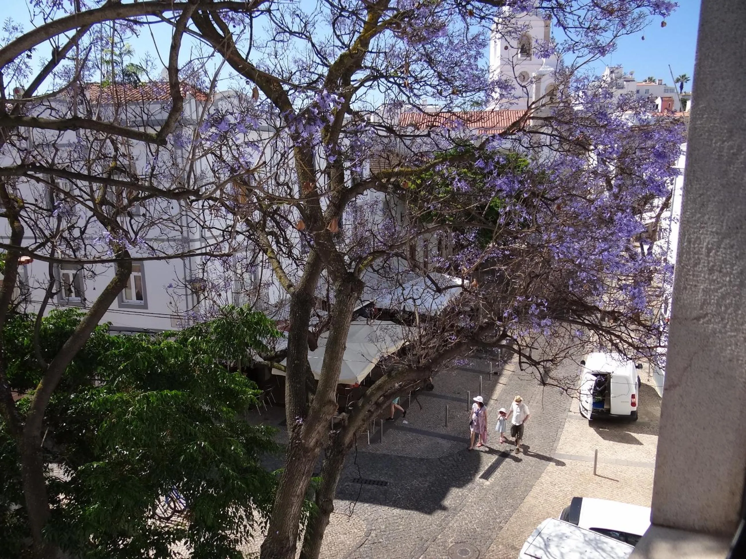 Street view in The Salty Lodge