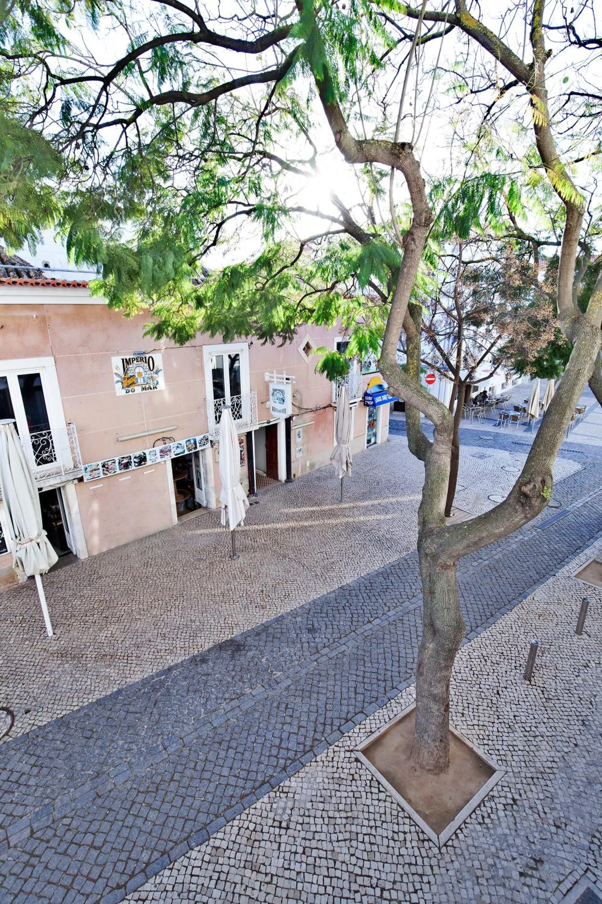 Street view in The Salty Lodge