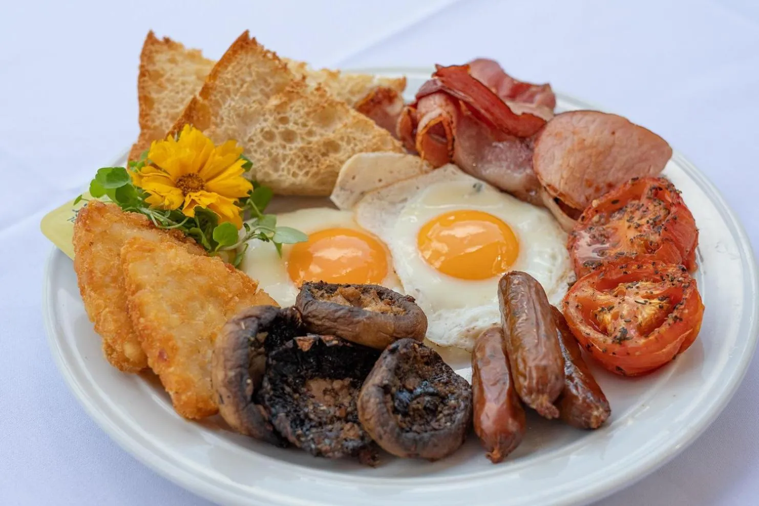 Food in BIG4 Gold Coast Holiday Park