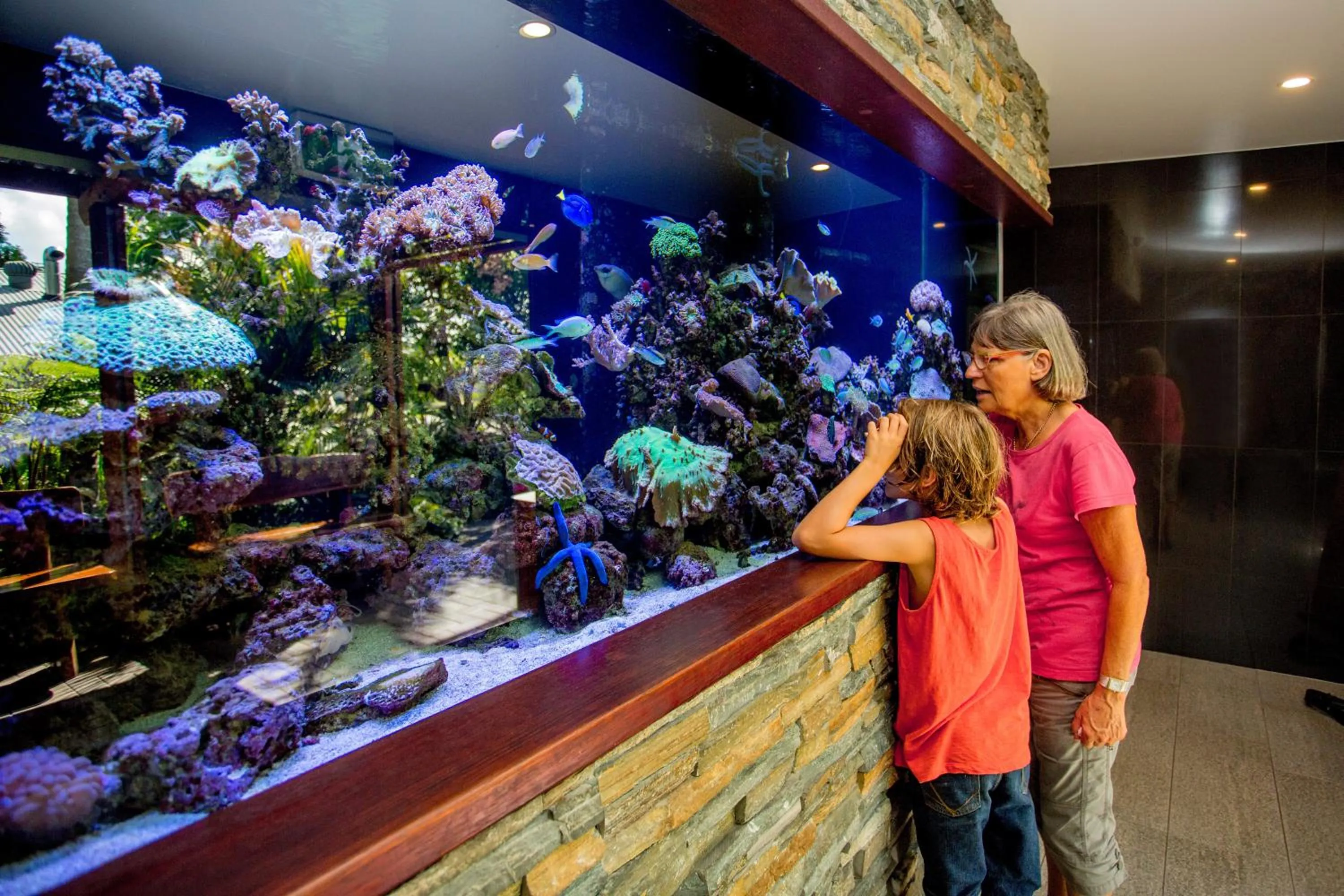 Animals in BIG4 Gold Coast Holiday Park