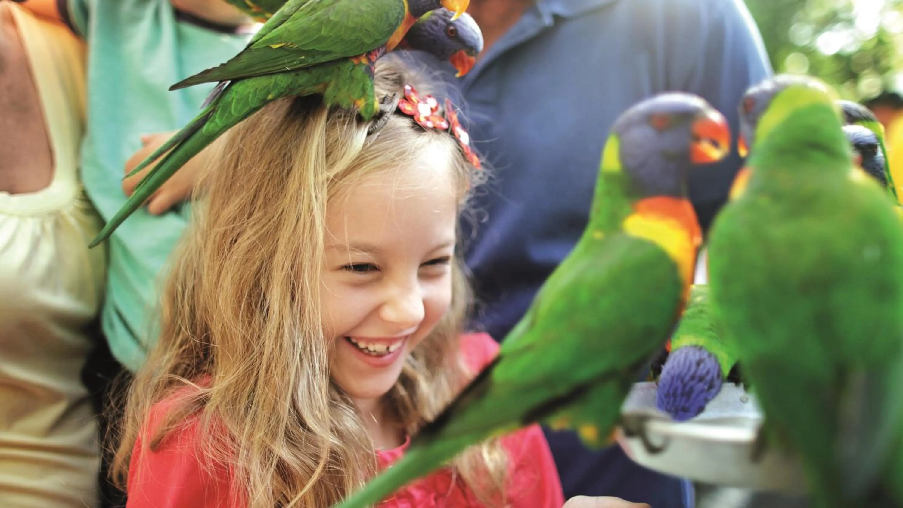 Day in BIG4 Gold Coast Holiday Park