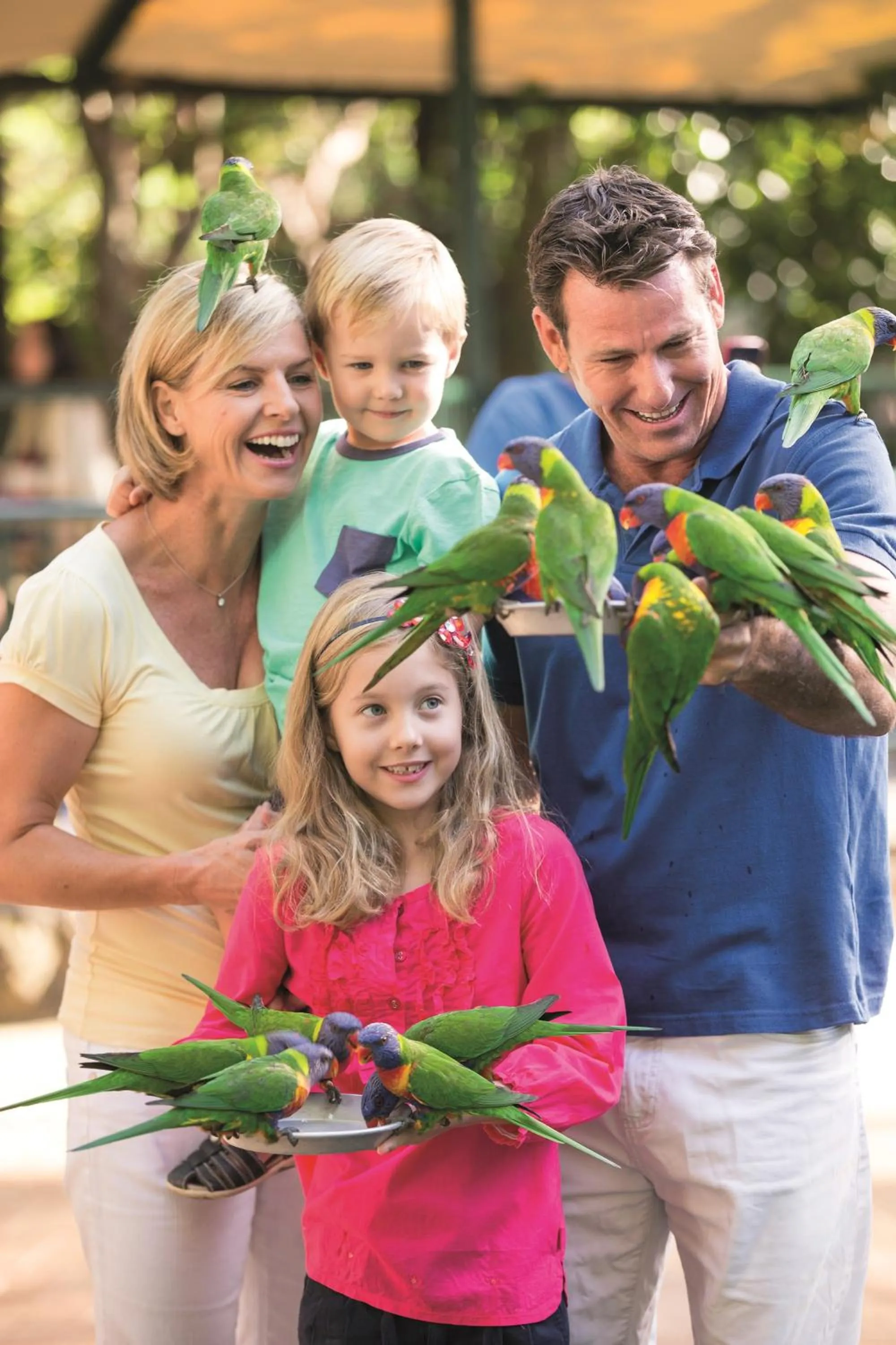 Day in BIG4 Gold Coast Holiday Park