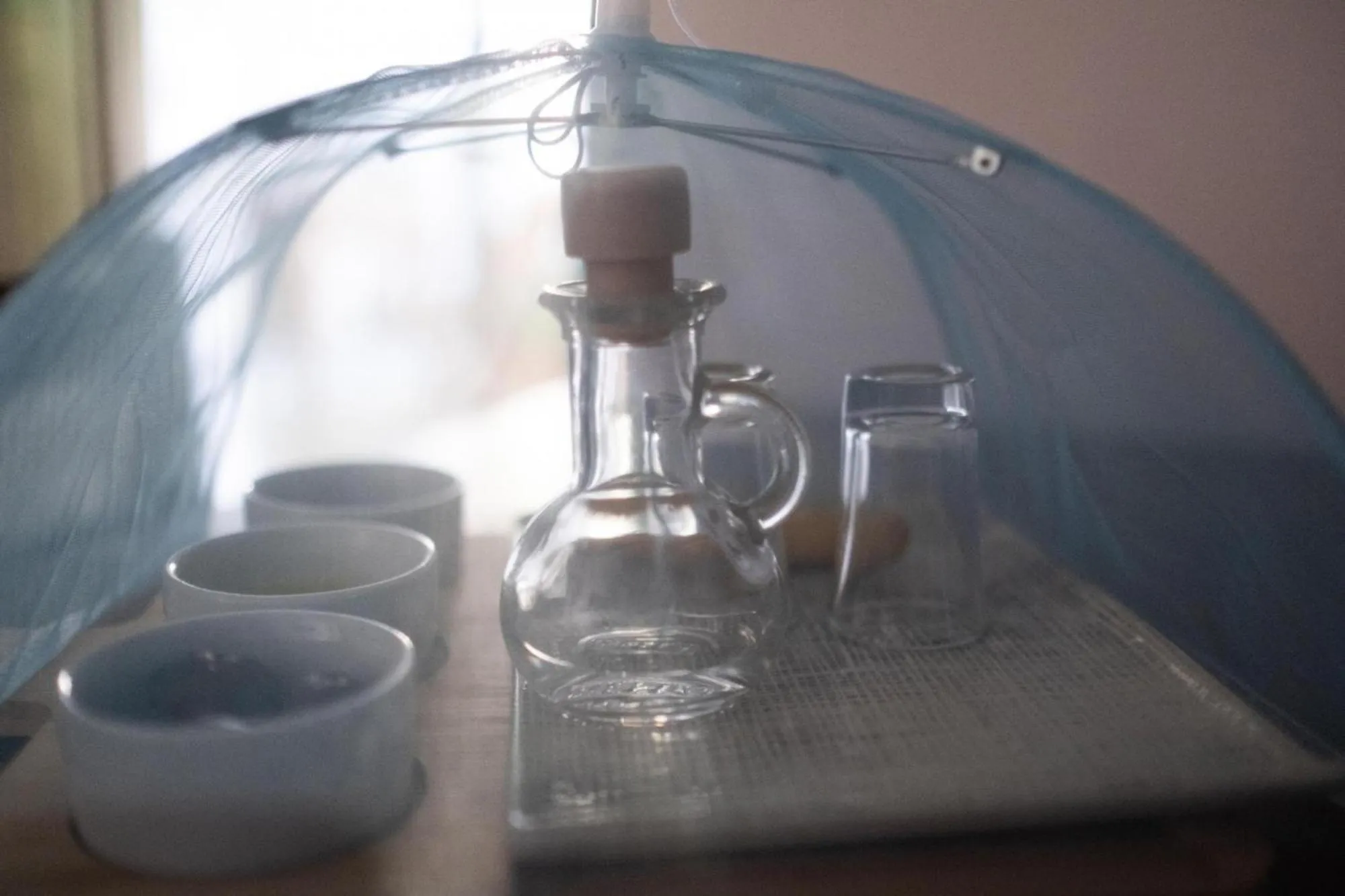 Food and drinks in Archontiko Michael Pelion