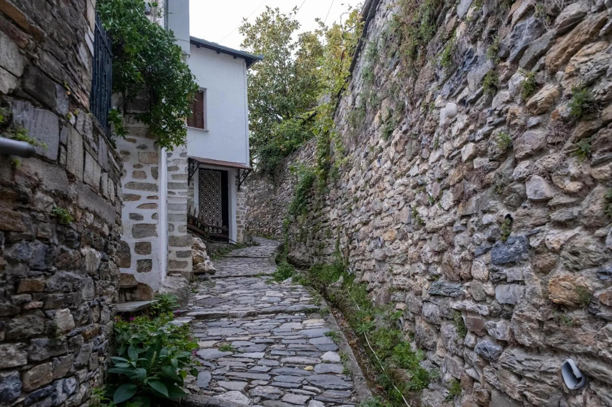 Activities in Archontiko Michael Pelion