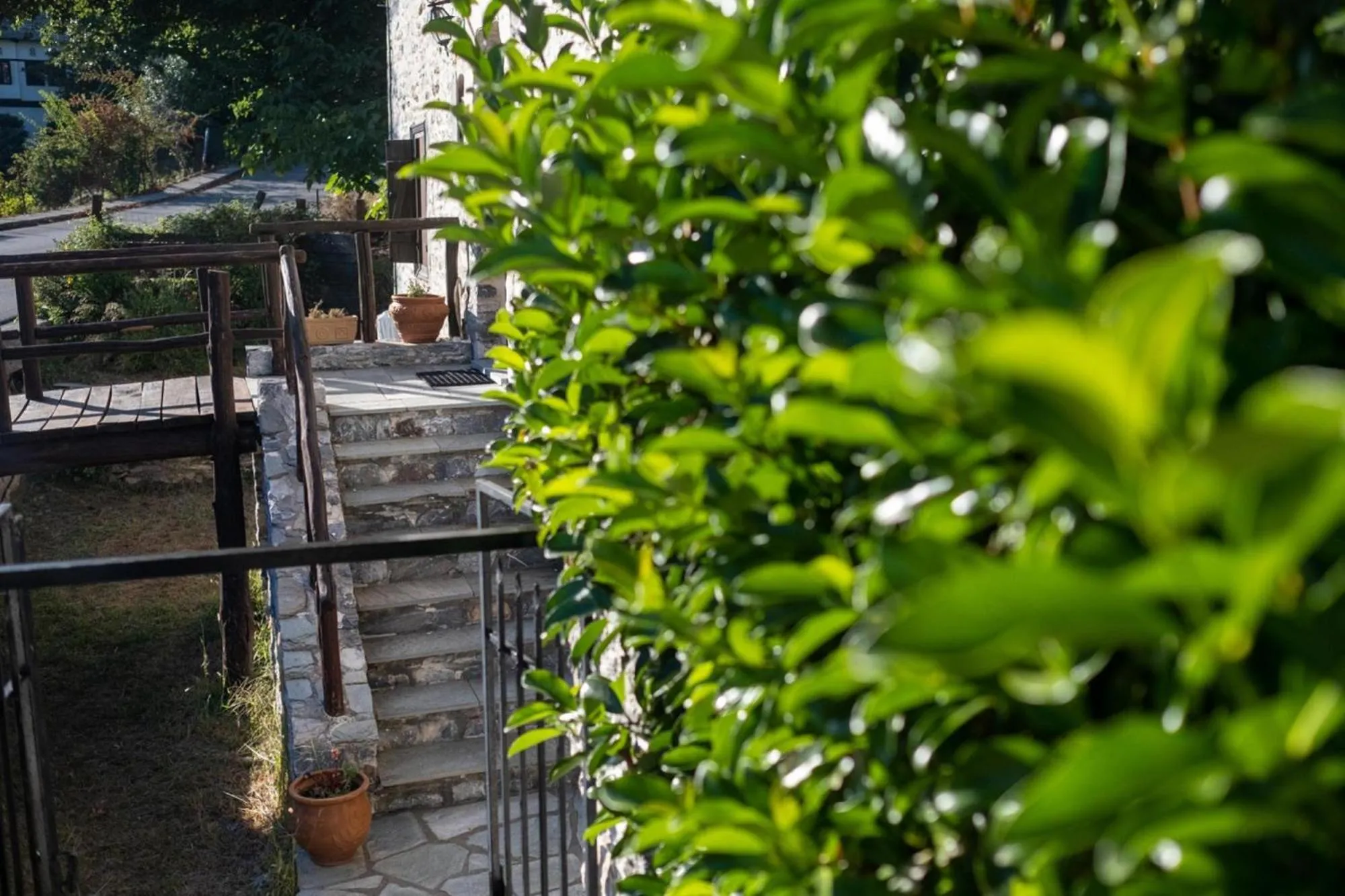 Garden in Archontiko Michael Pelion