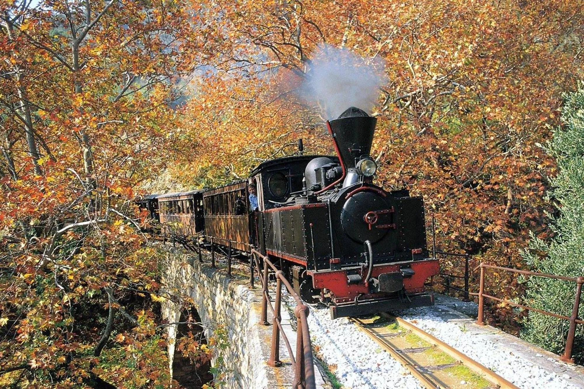 Activities in Archontiko Michael Pelion