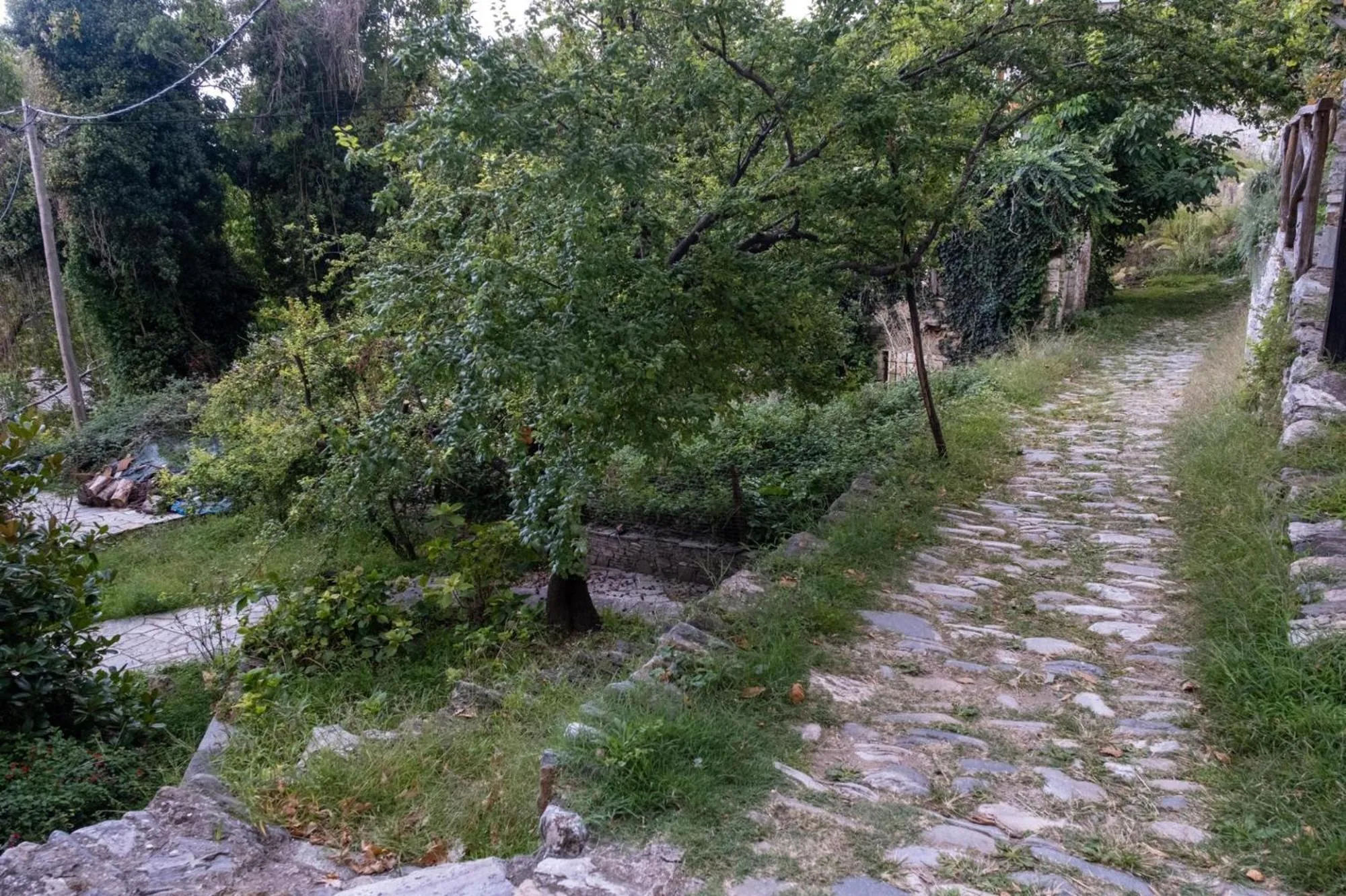 Hiking in Archontiko Michael Pelion