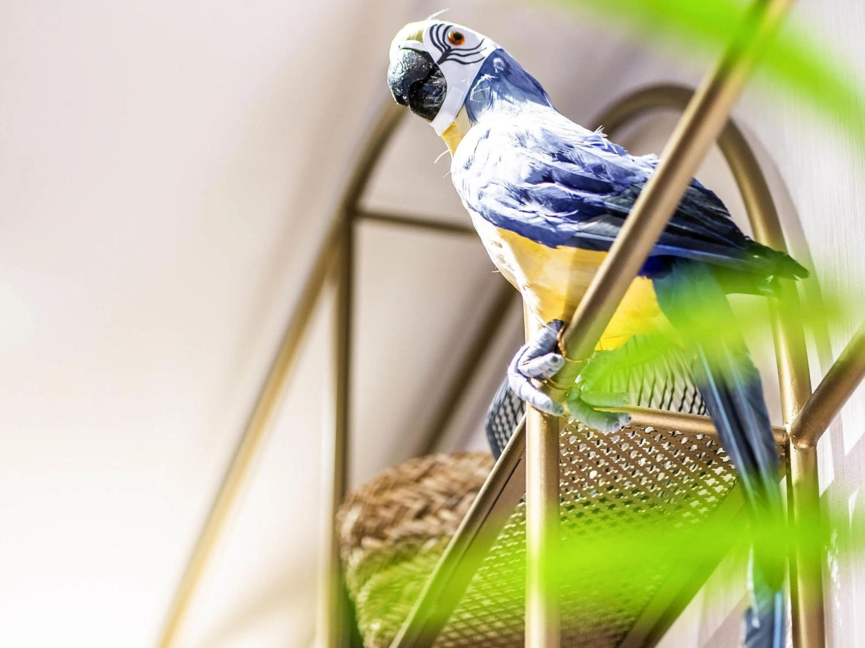 Other in ibis Styles Rennes Cesson