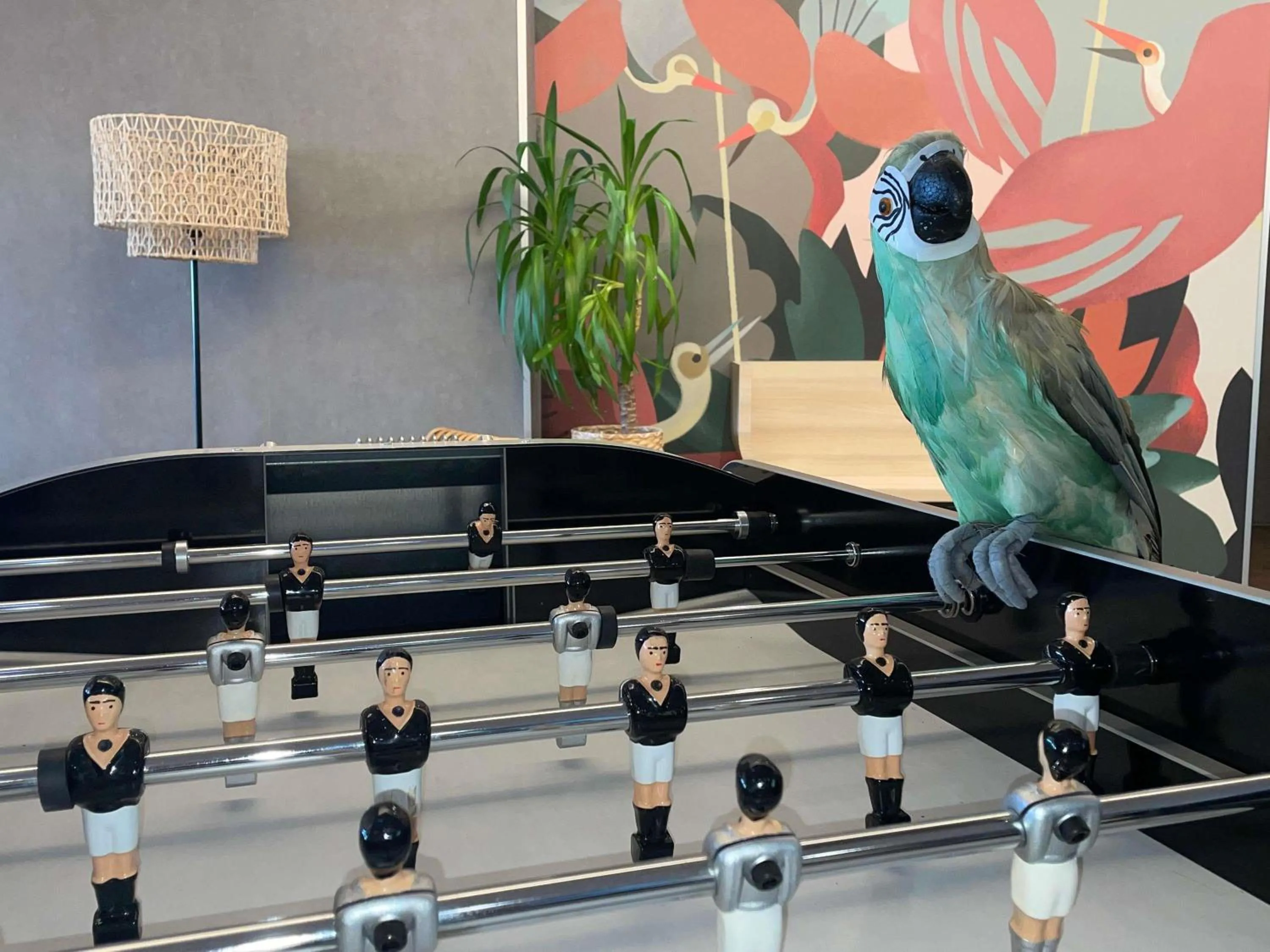 Other in ibis Styles Rennes Cesson