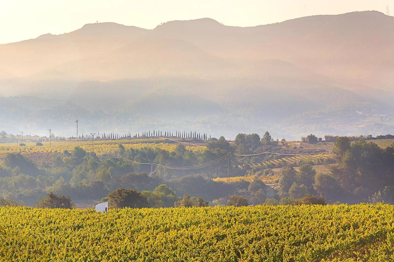 Natural landscape in Masia Can Canyes & Spa