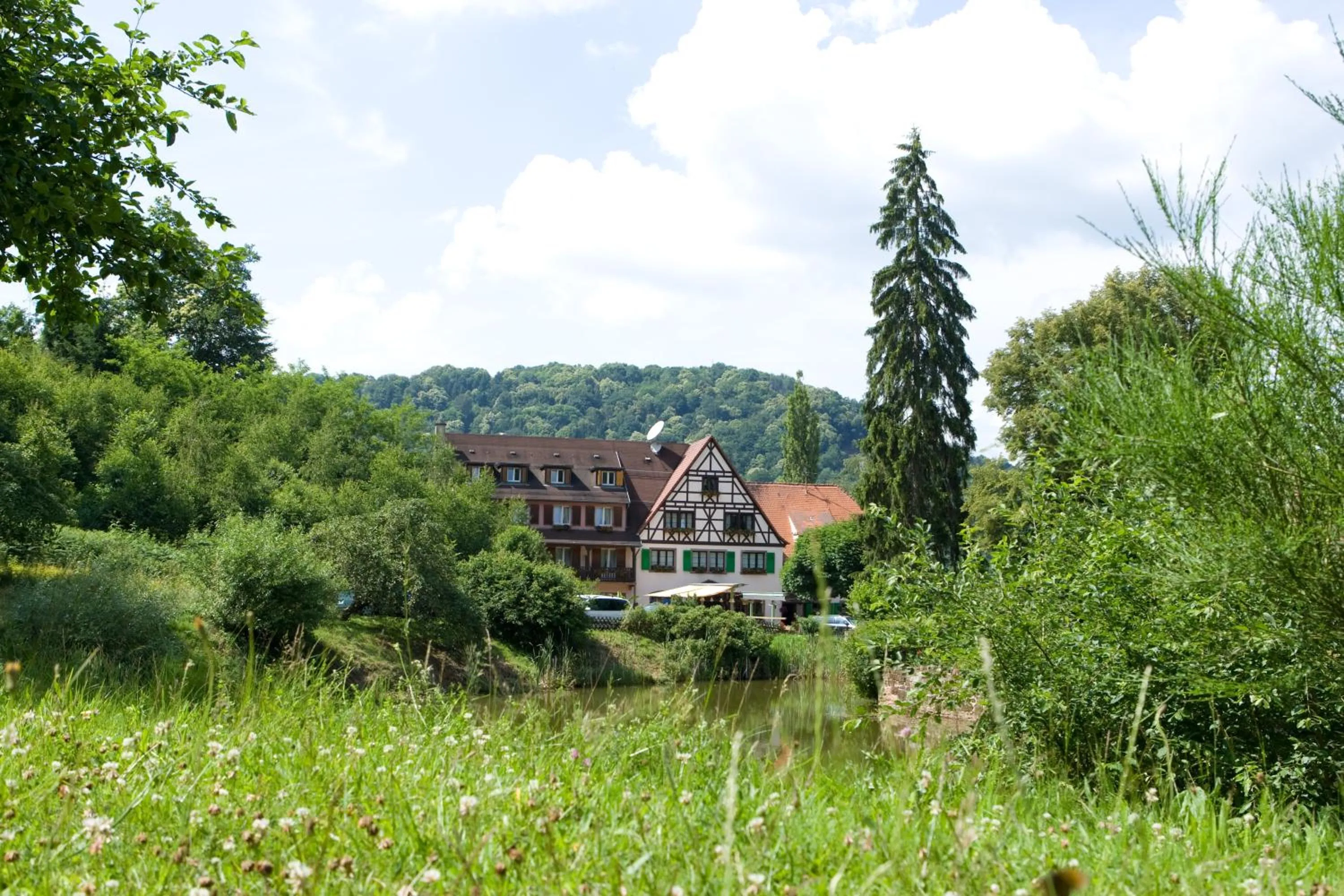 Logis Hôtel-Restaurant Auberge d'Imsthal