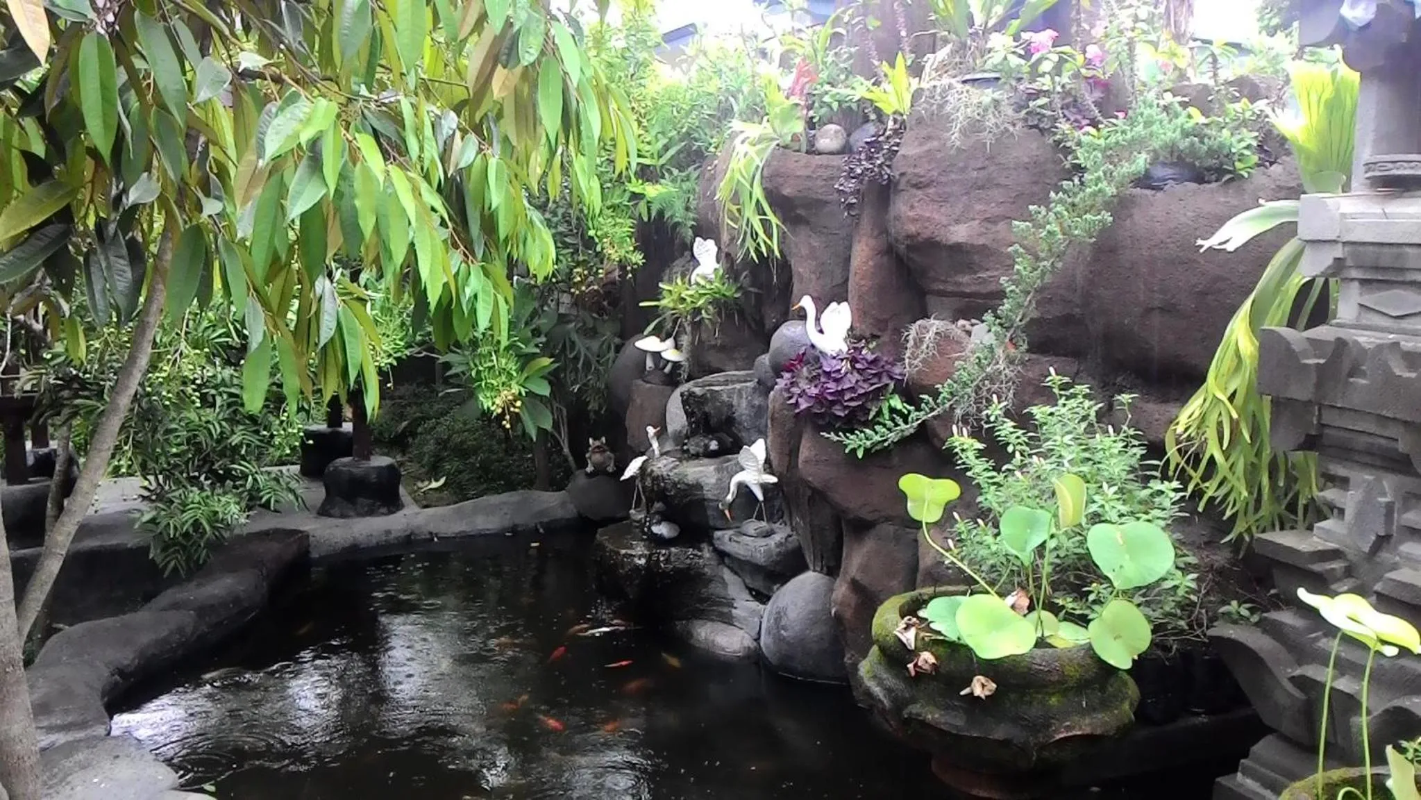 Garden in Muka House