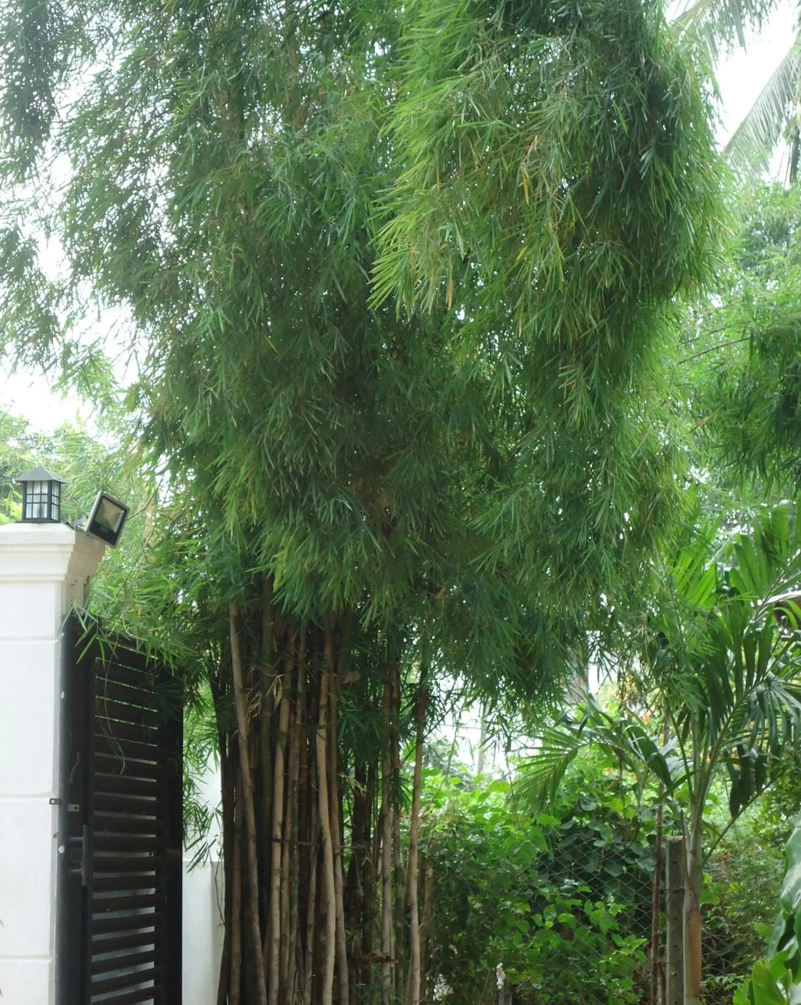 Goalma Family Holiday Resort & Restaurant