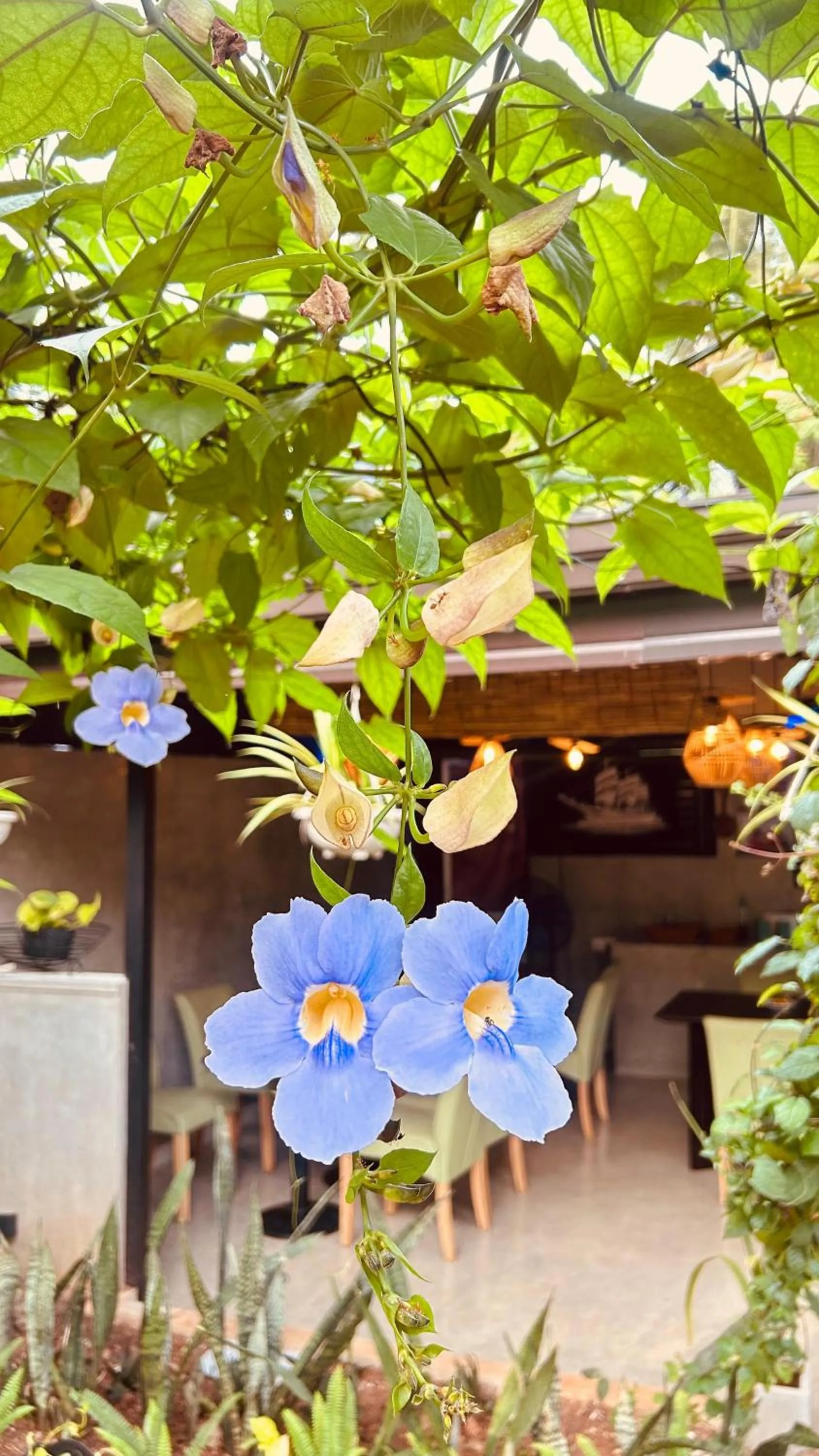 Day in Goalma Family Holiday Resort & Restaurant