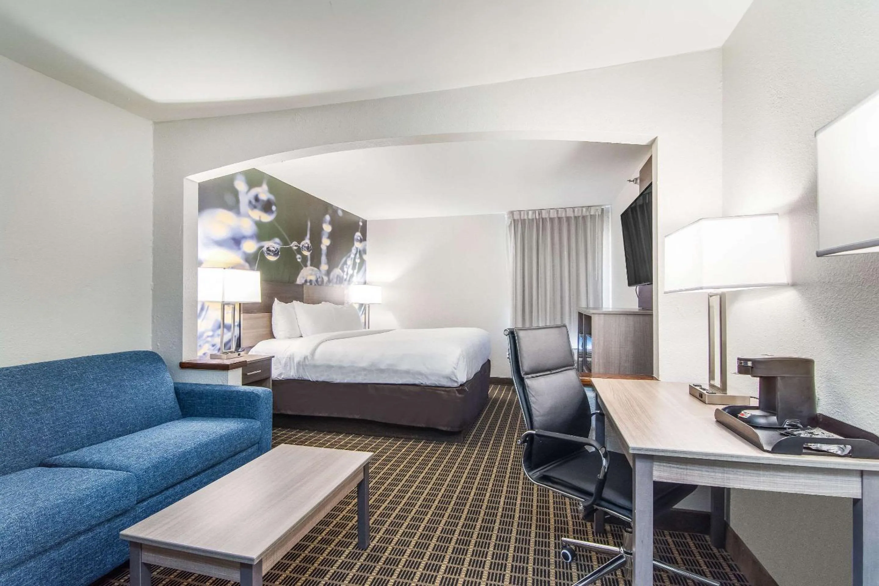 Photo of the whole room, Bed in Clarion Pointe South Boston - Danville East