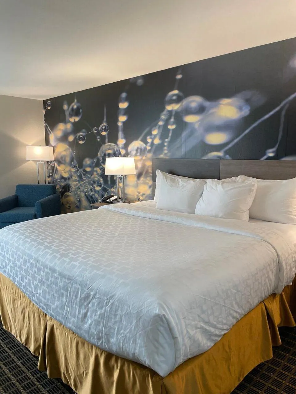 Bed in Clarion Pointe South Boston - Danville East