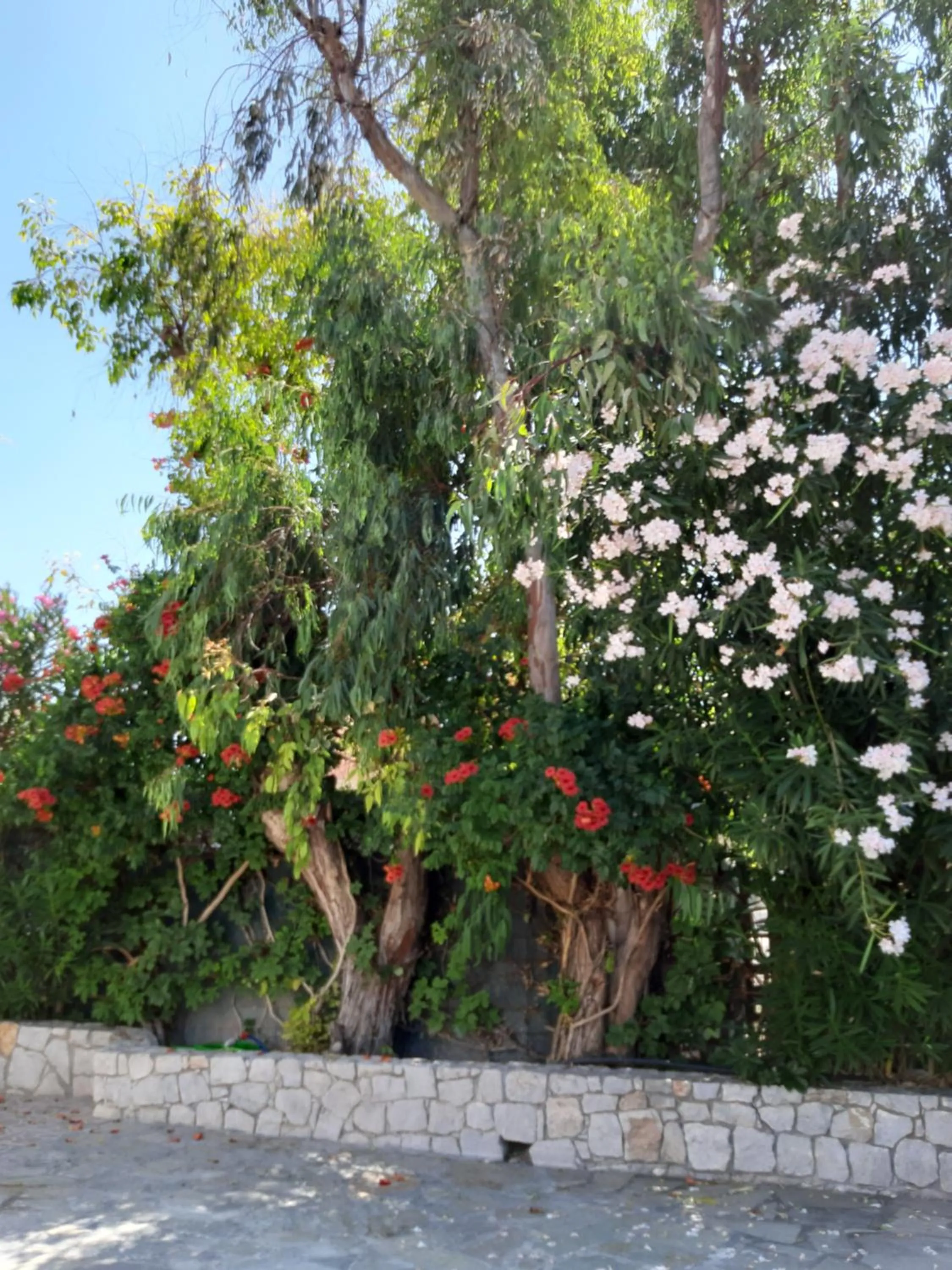 Garden in Eden Beach Hotel
