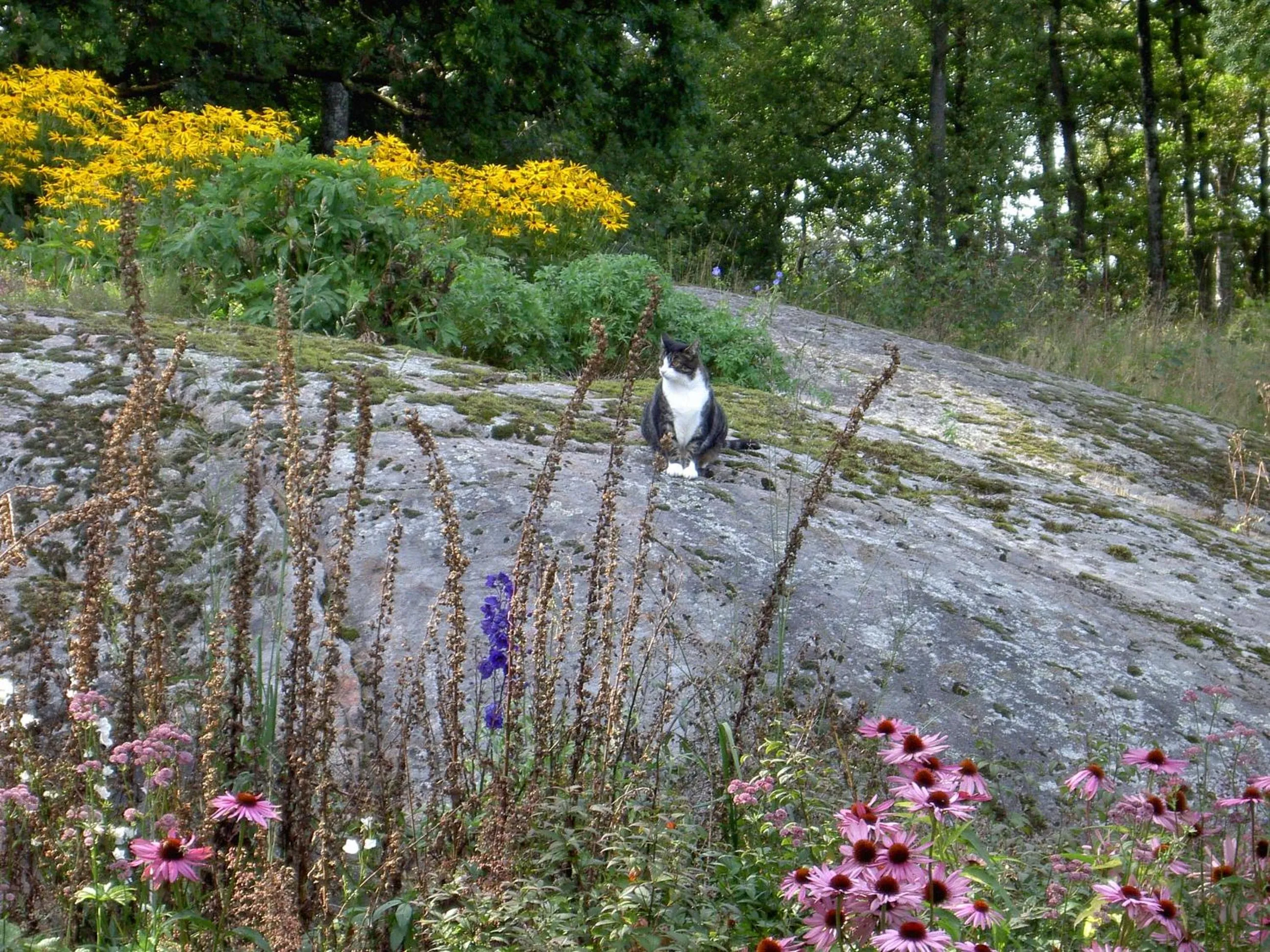 Garden in Stakaberg Konferens & Gårdshotell
