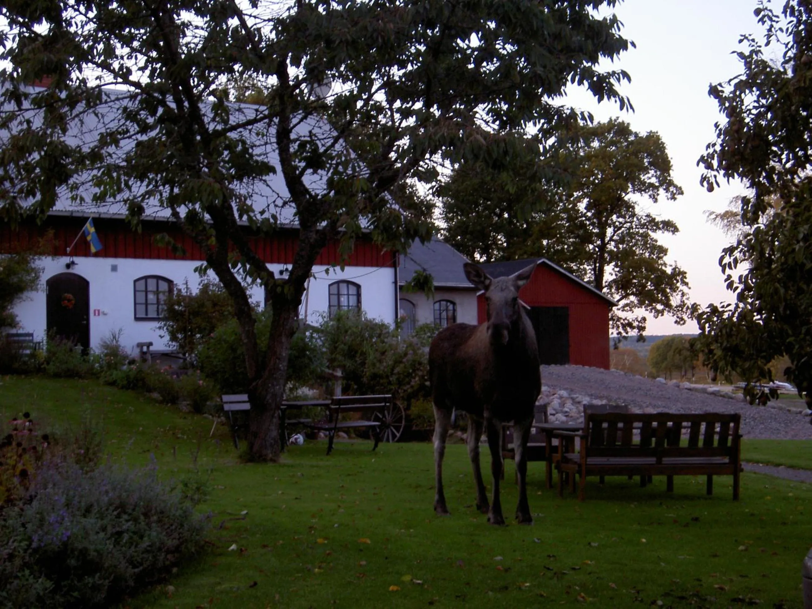 Garden in Stakaberg Konferens & Gårdshotell