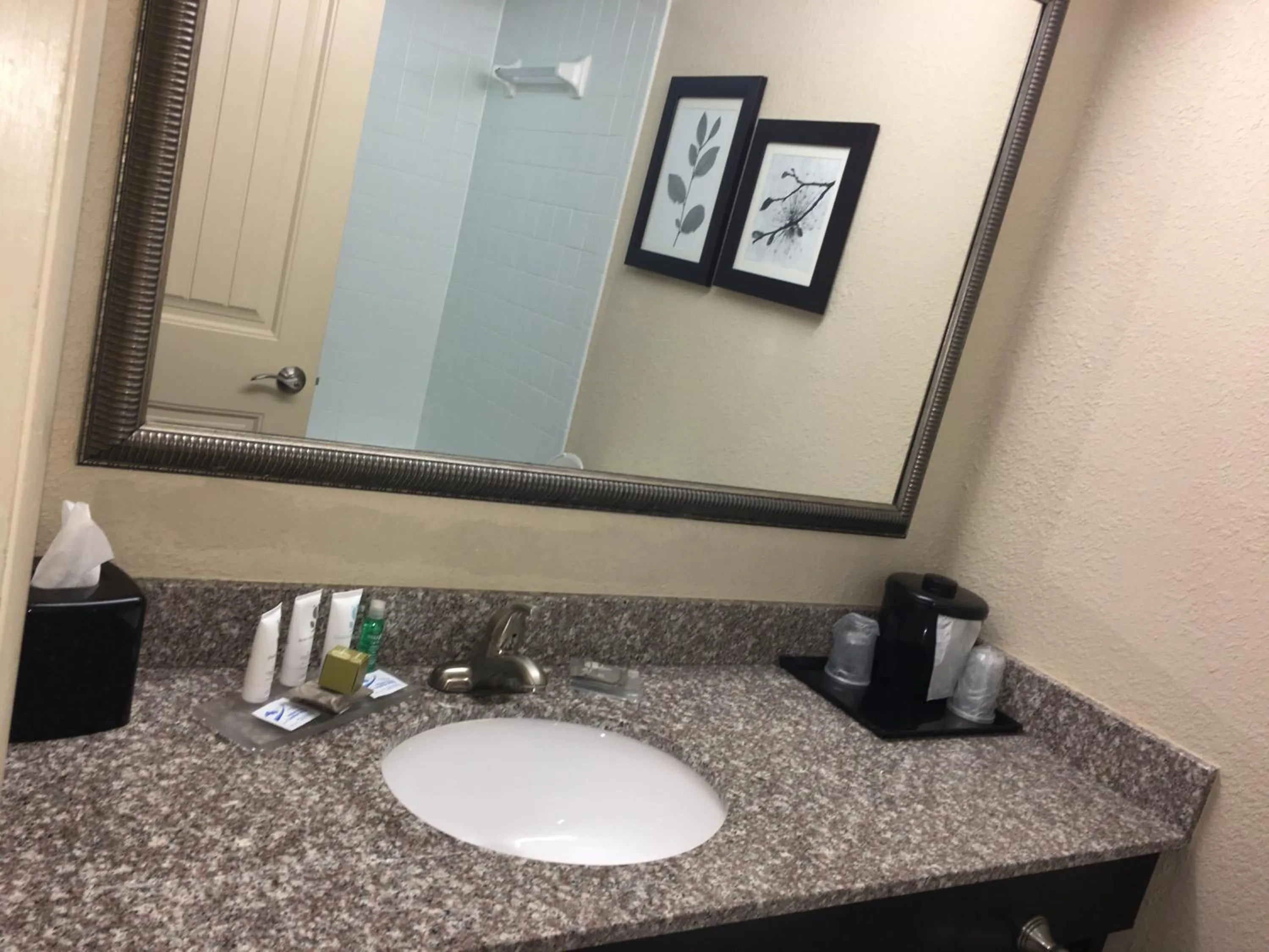 King Room - Disability Access in Spring Lake Inn & Suites - Fayetteville