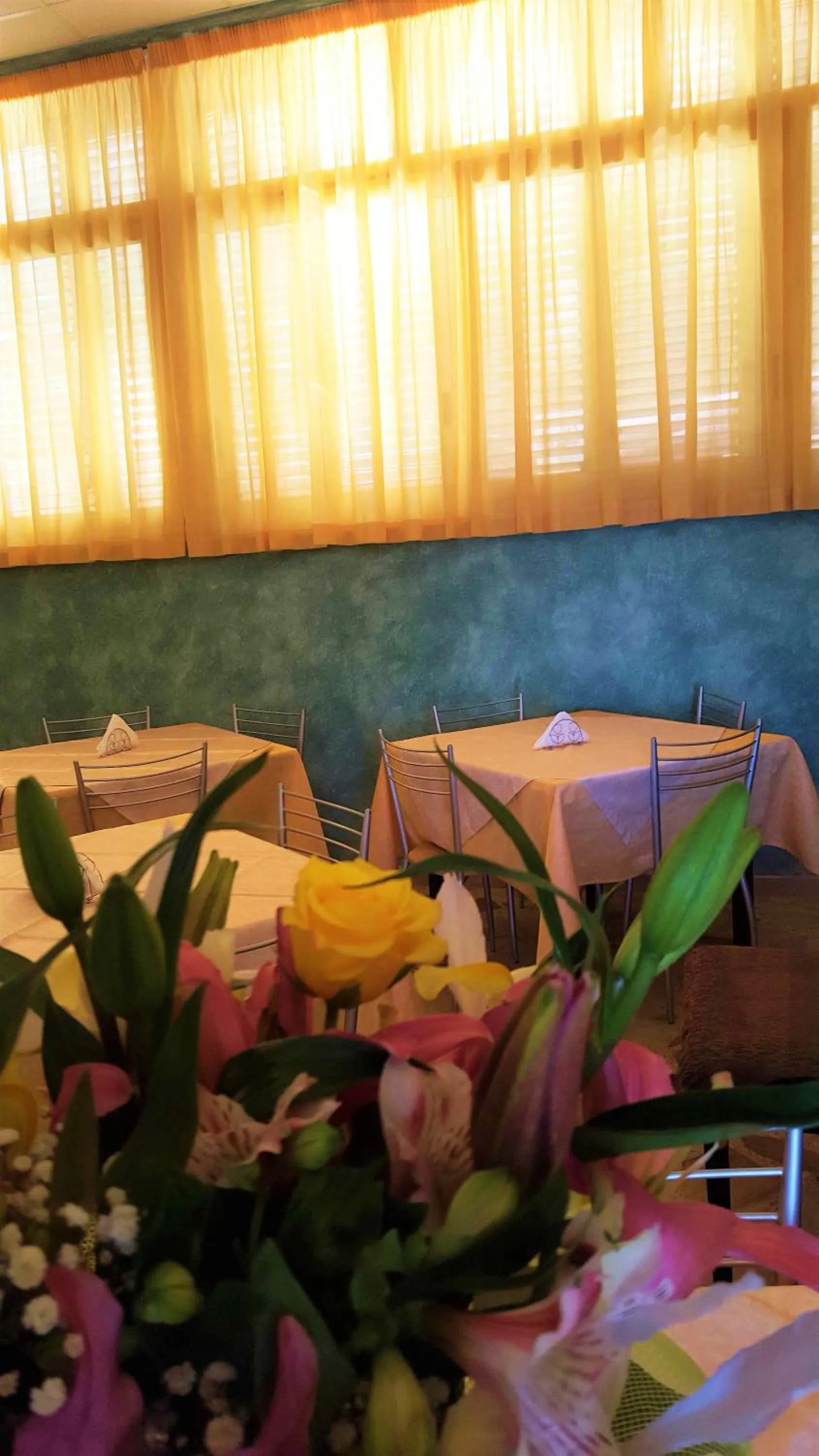 Restaurant/places to eat in Delle Rose