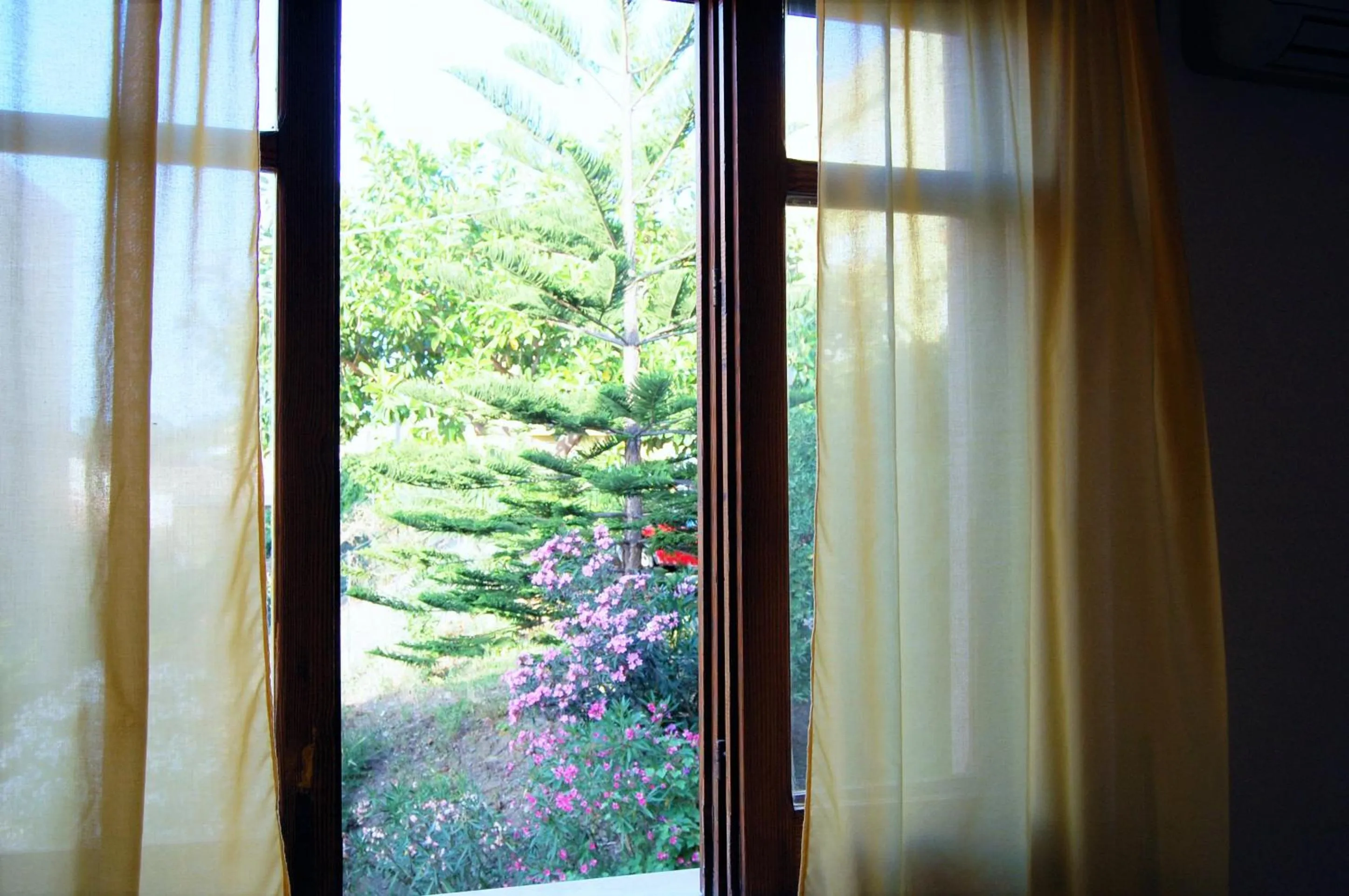 Spring in Delle Rose