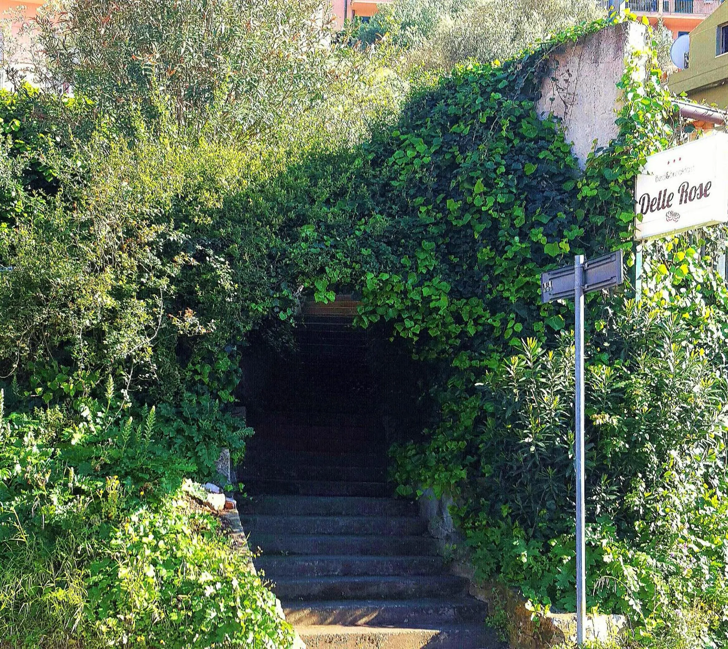 Facade/entrance in Delle Rose
