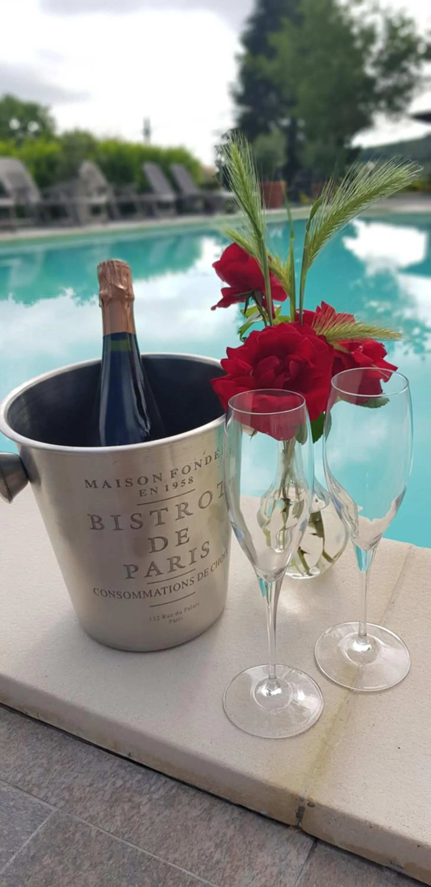 Swimming pool in Villa Bella Piemonte