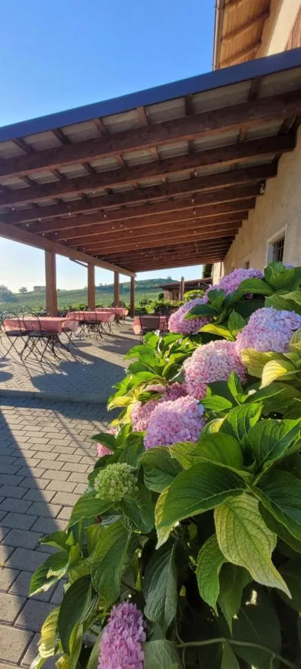 View (from property/room) in Villa Bella Piemonte