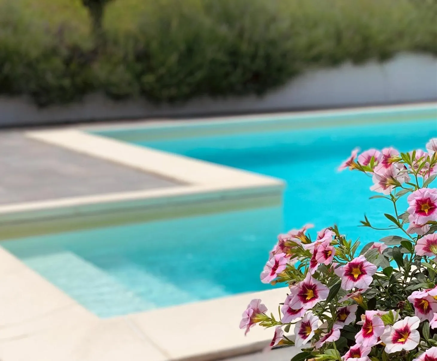 Swimming pool in Villa Bella Piemonte