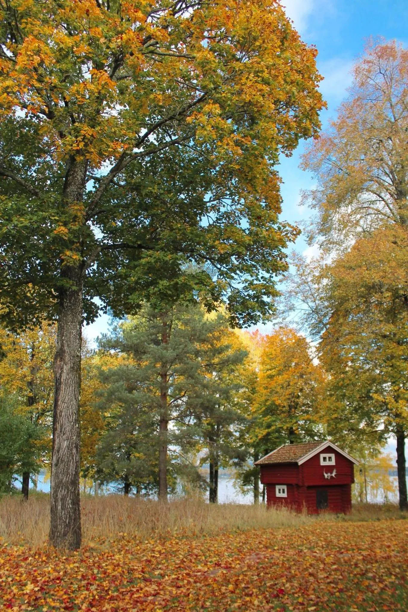 Autumn in Wanbo Herrgård