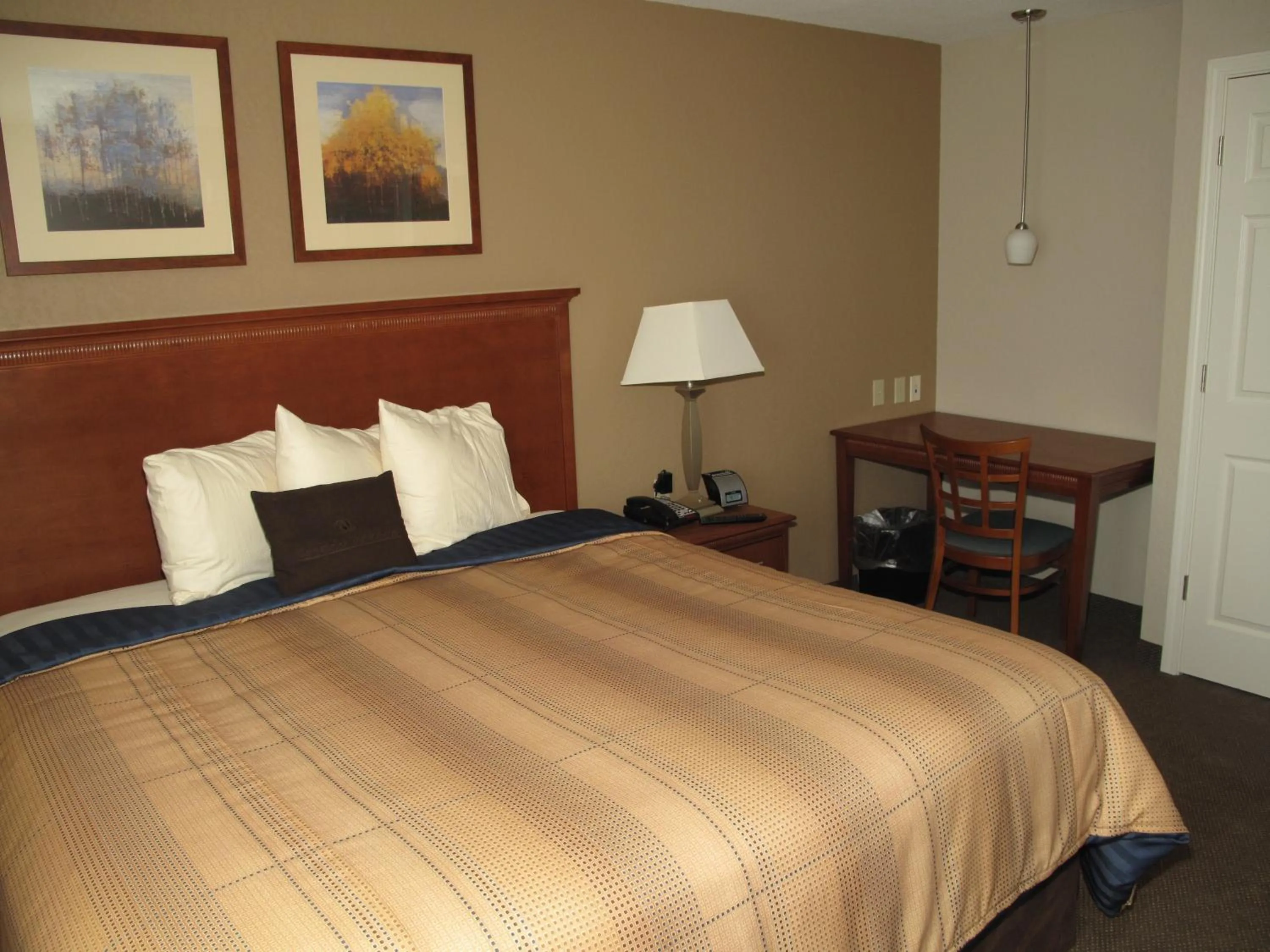 Bedroom, Bed in Candlewood Suites Elgin – Northwest Chicago by IHG