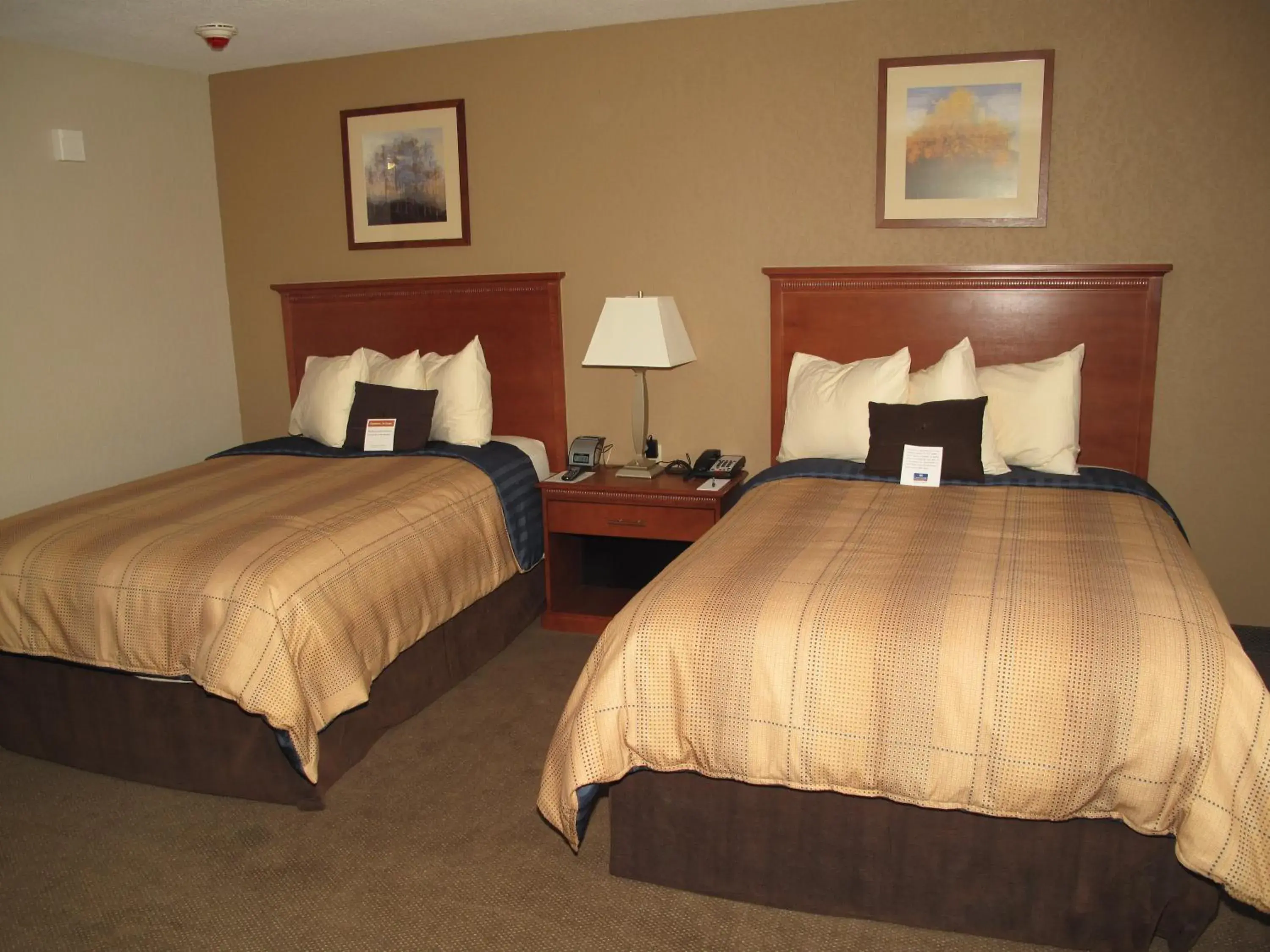 Studio Suite with Two Double Beds in Candlewood Suites Elgin – Northwest Chicago by IHG Studio Suite with Two Double Beds in Candlewood Suites Elgin – Northwest Chicago by IHG
