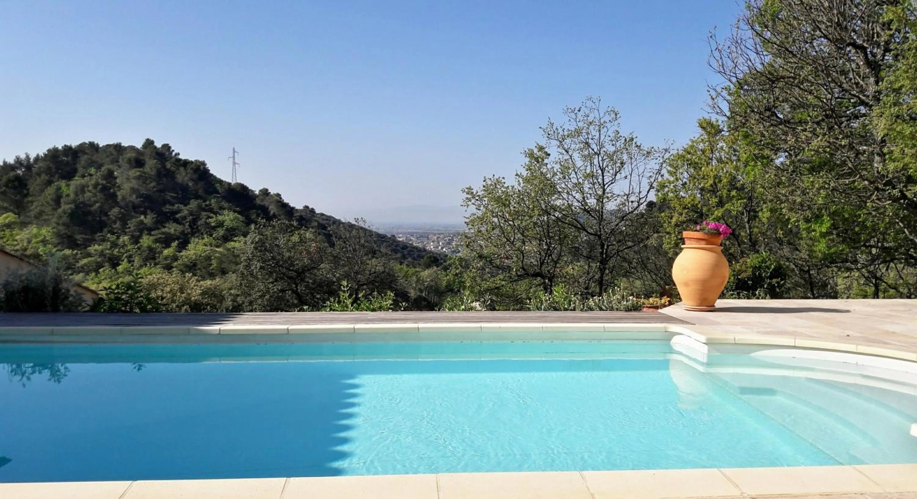 Swimming pool in Provence Dodo
