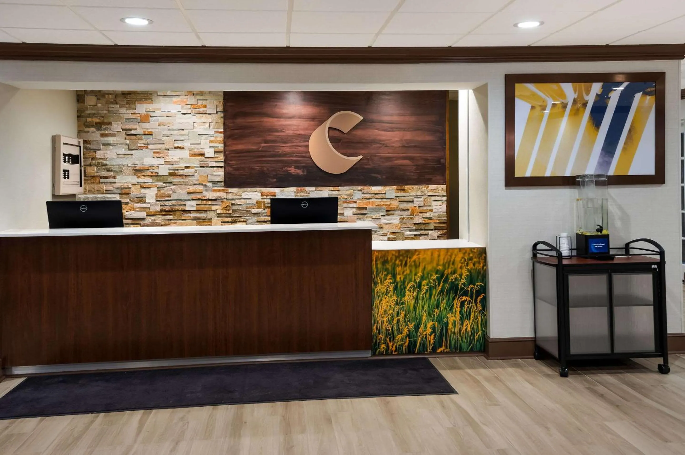 Lobby or reception in Comfort Inn & Suites Fishers - Indianapolis