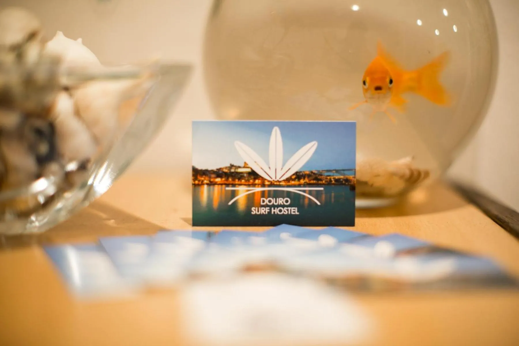 Property logo or sign in Douro Surf Hostel