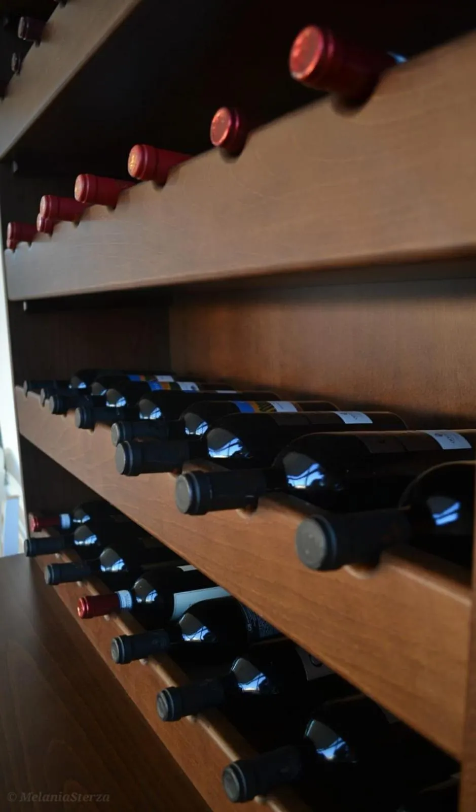 Alcoholic drinks in HOTEL MERCURIO SUL MARE - Fish restaurant and private beach