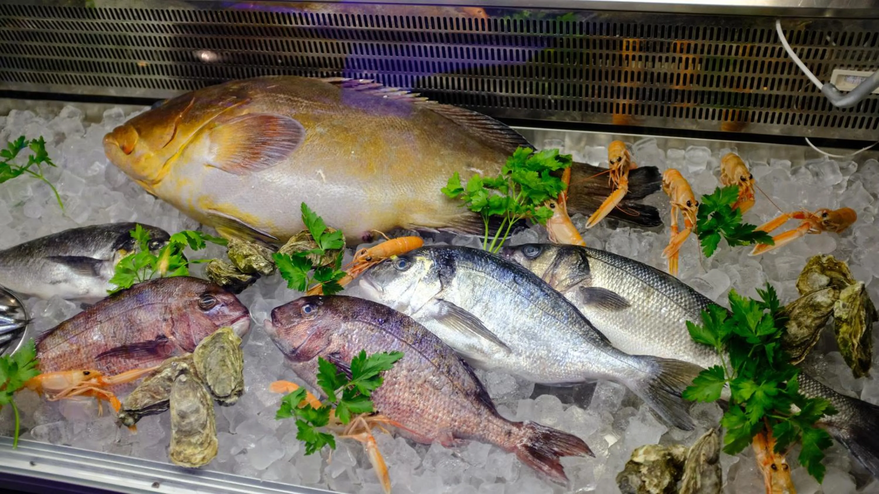 Restaurant/places to eat in HOTEL MERCURIO SUL MARE - Fish restaurant and private beach