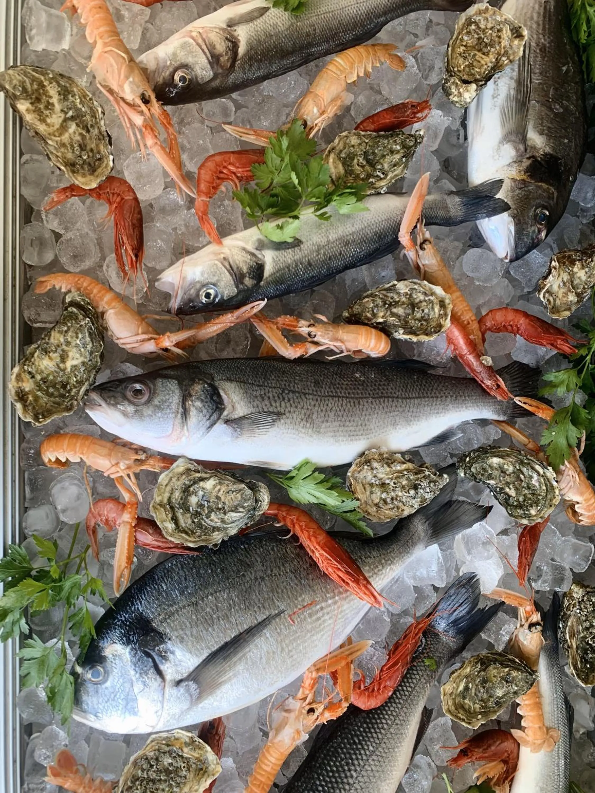 Food in HOTEL MERCURIO SUL MARE - Fish restaurant and private beach