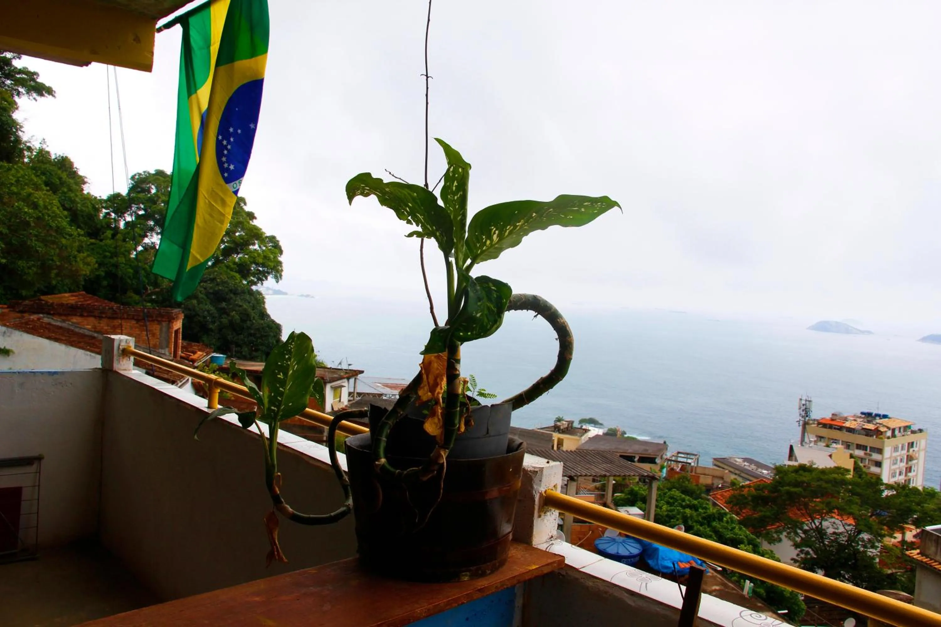 Property building in Hostel Sol & Mar