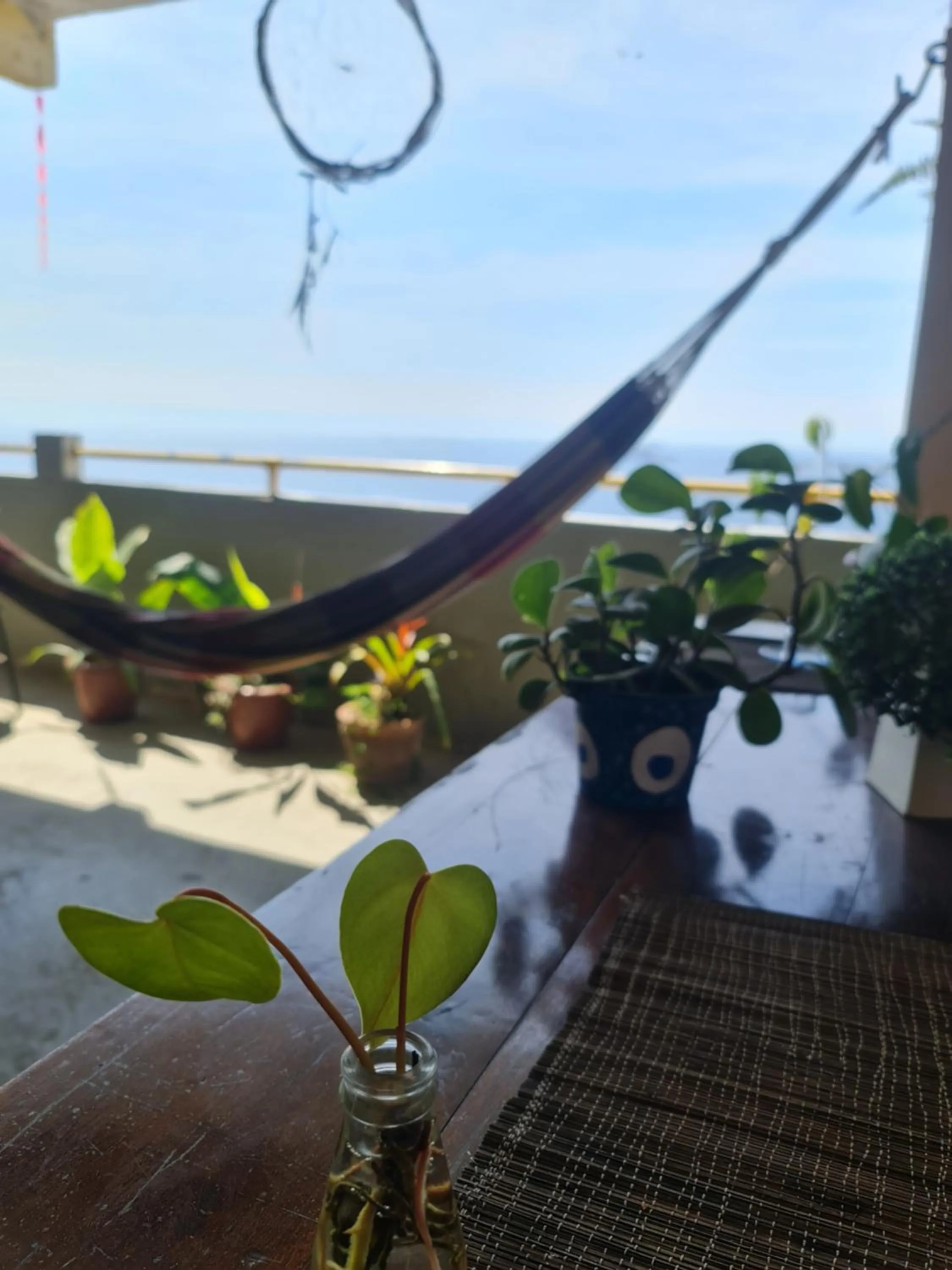 Day in Hostel Sol & Mar