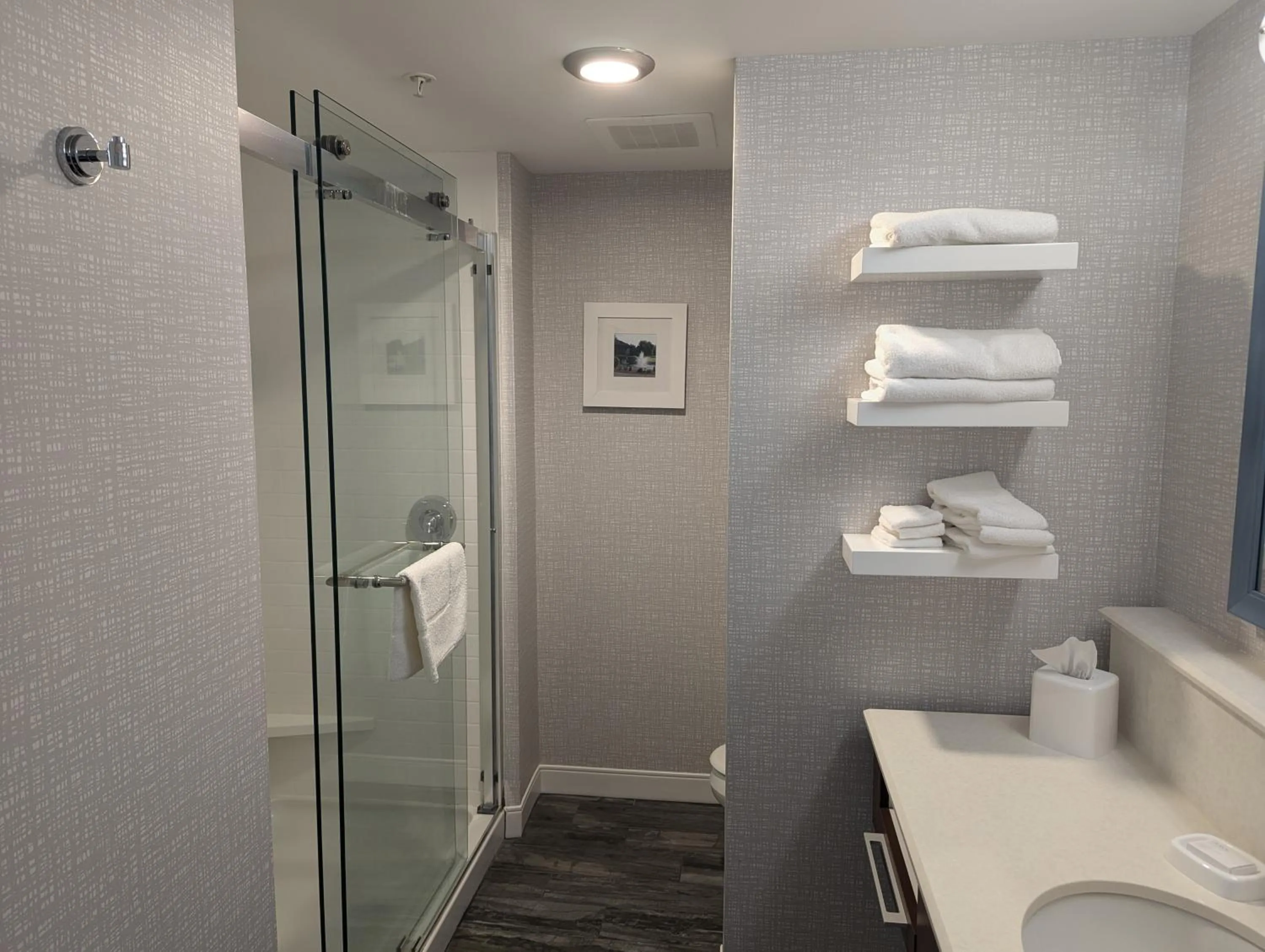 Shower in Hampton Inn & Suites Cazenovia, NY