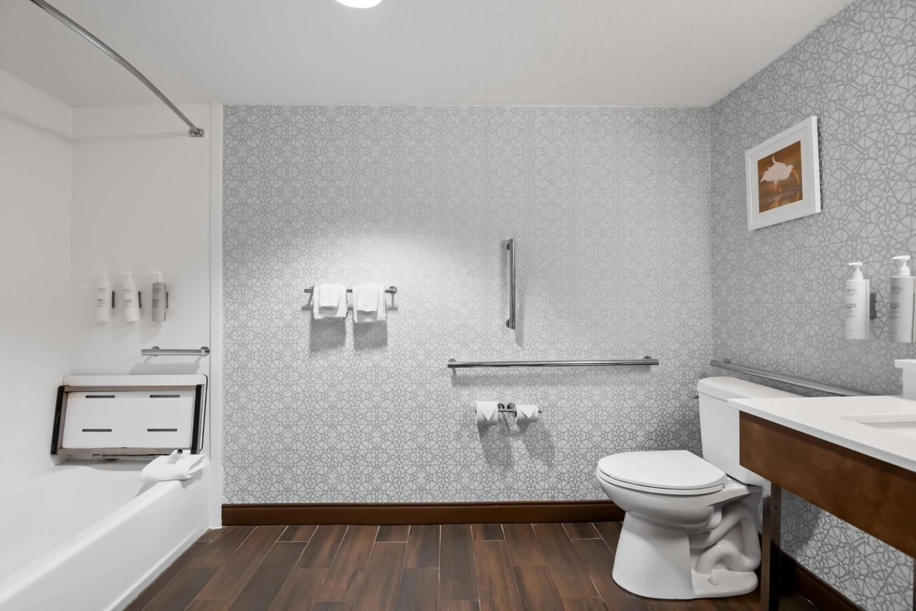 Bathroom in Hampton Inn Debary-Deltona