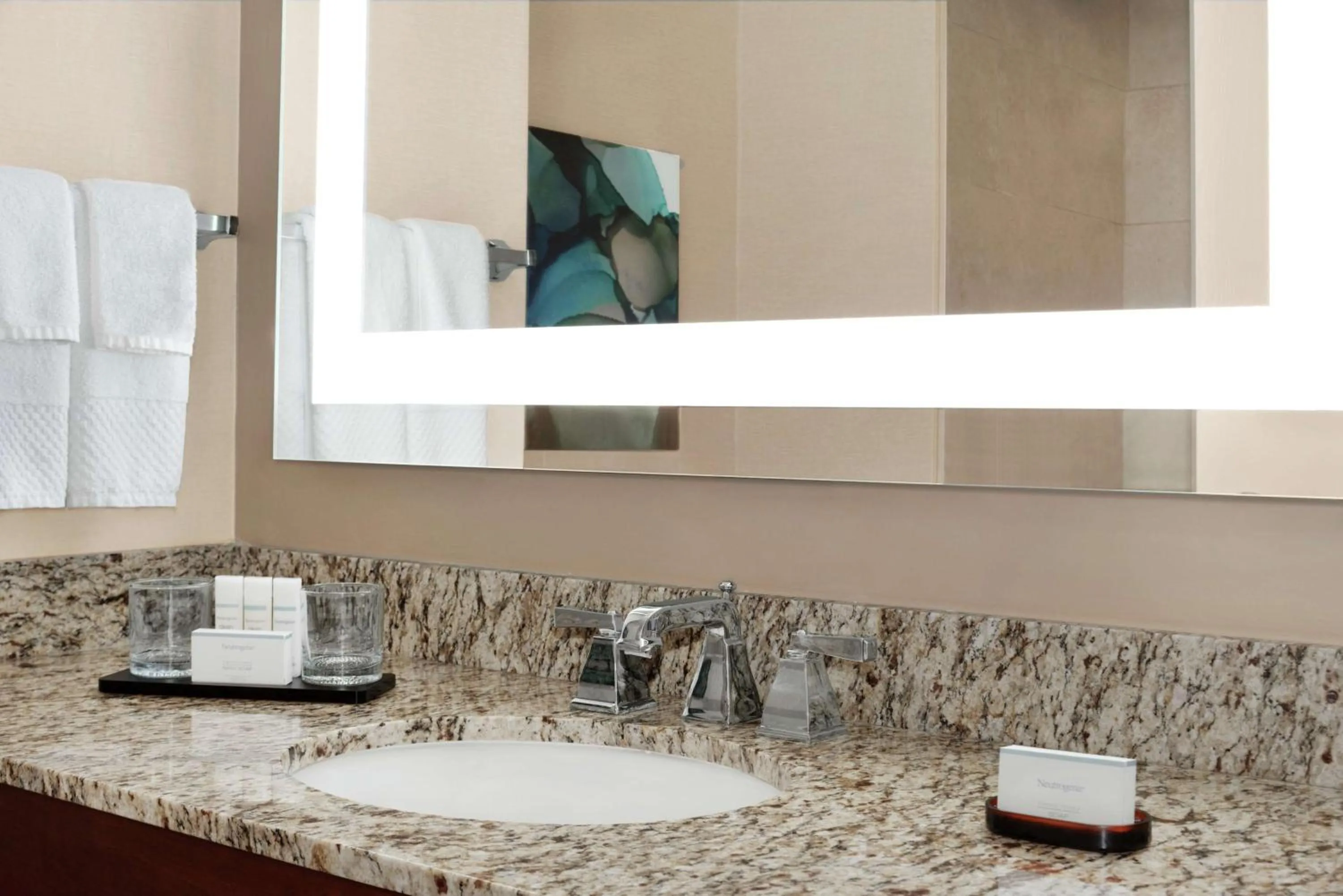 Bathroom in Embassy Suites Cincinnati - RiverCenter