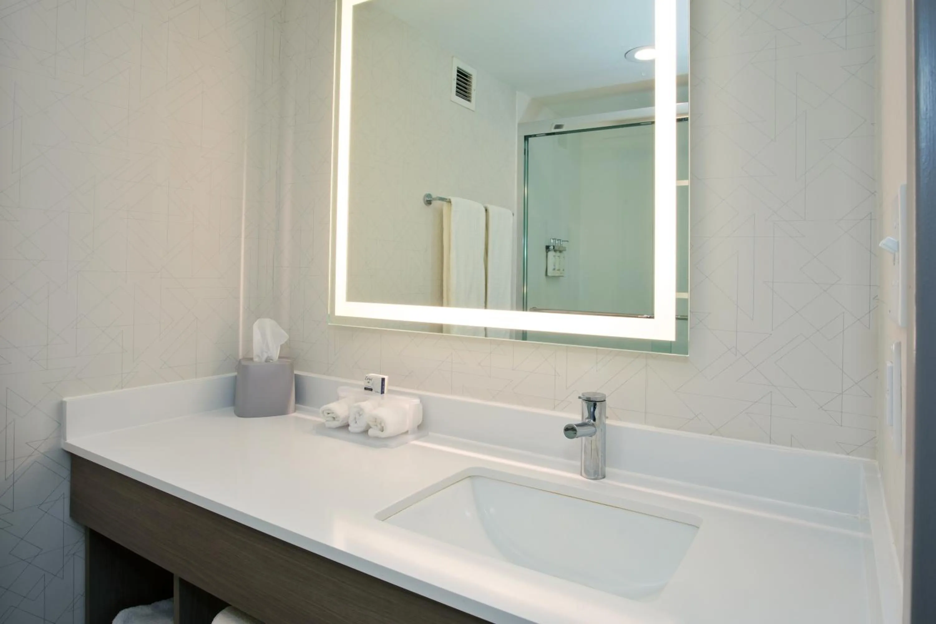 Bathroom in Holiday Inn Express Hotel & Suites Dover by IHG