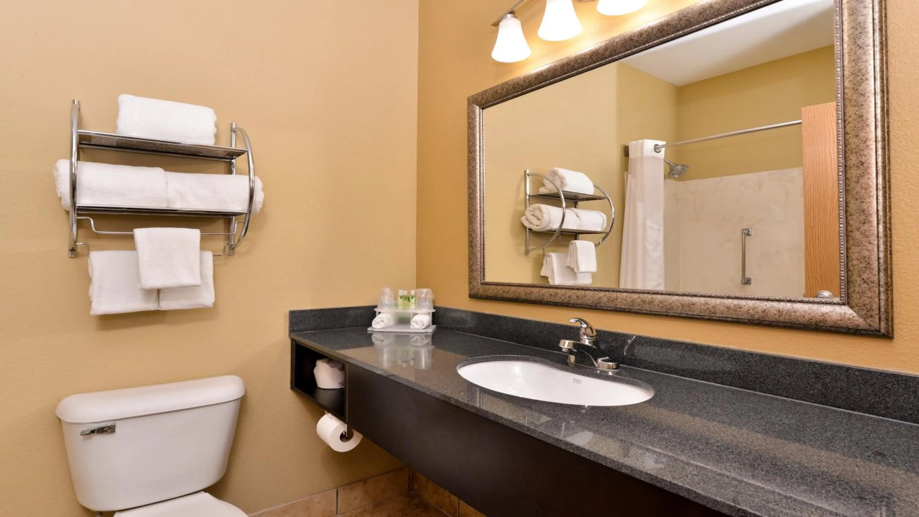 Bathroom in Holiday Inn Express Hotel & Suites Cincinnati-North/Sharonville