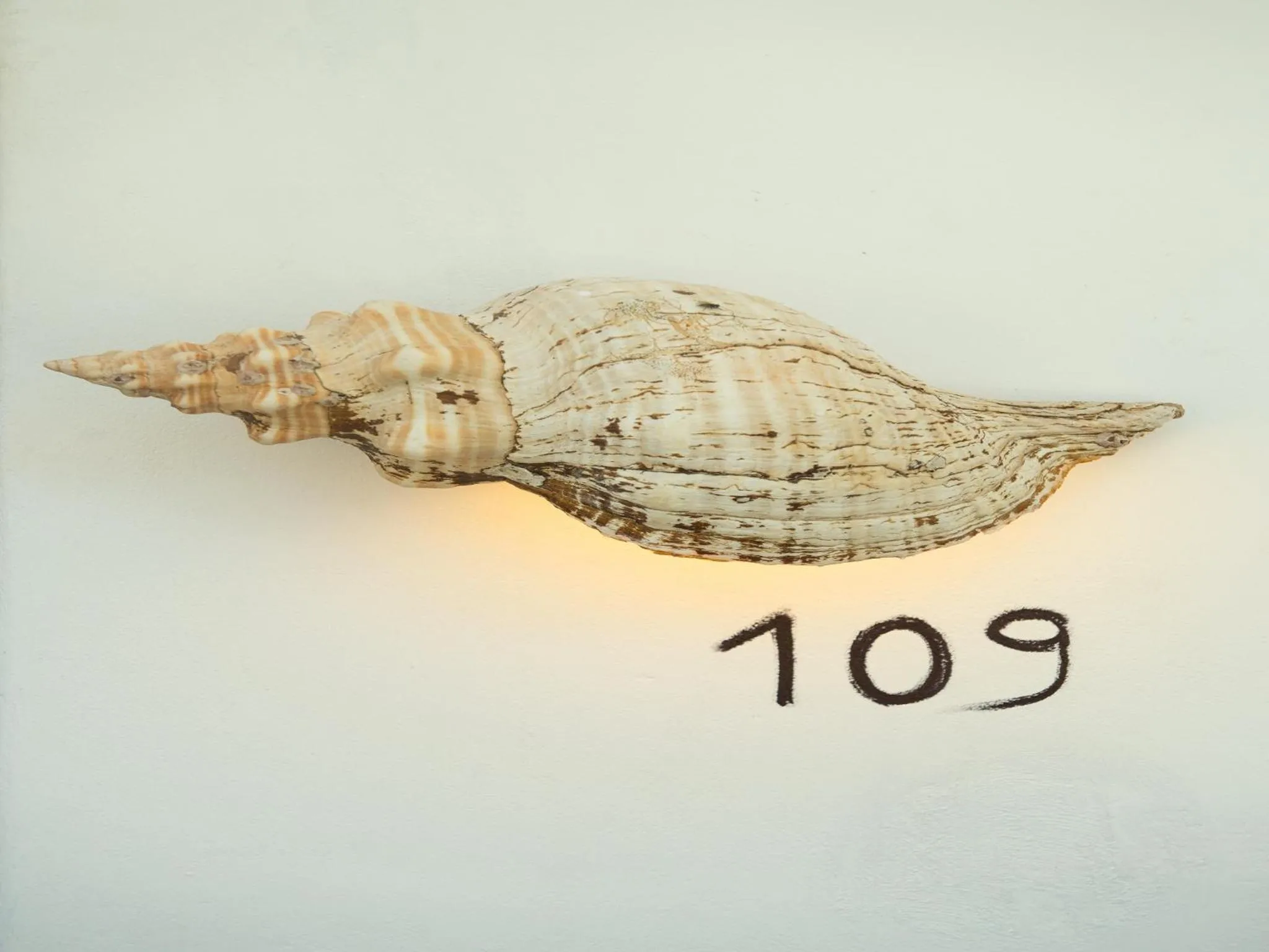 Decorative detail in Villas HM Palapas del Mar